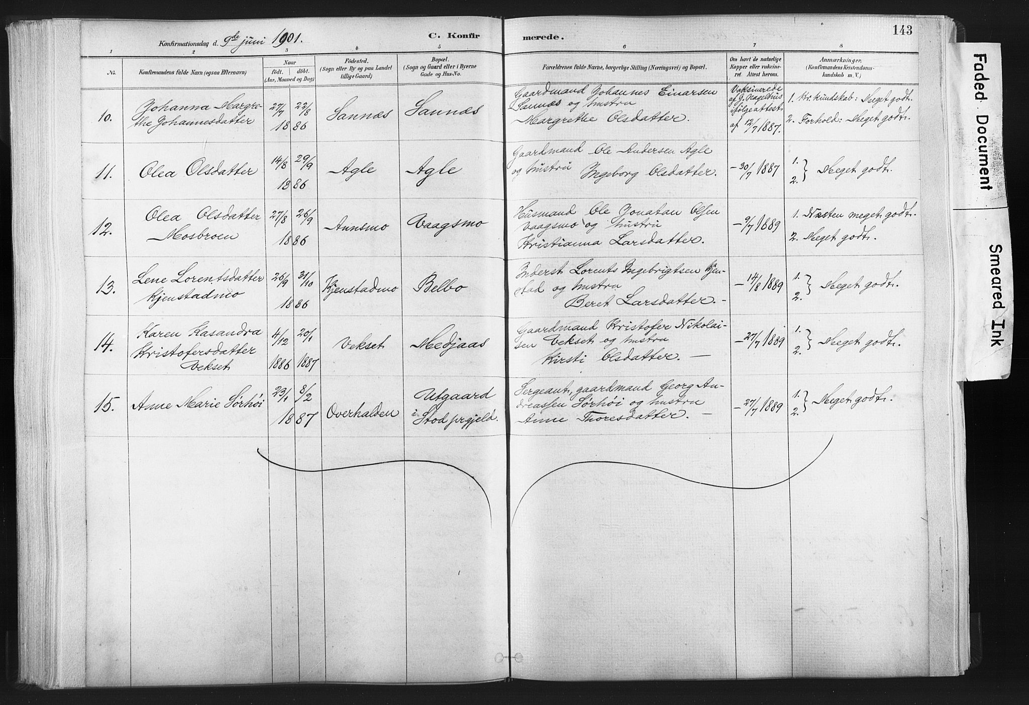 Ministerialprotokoller, klokkerbøker og fødselsregistre - Nord-Trøndelag, SAT/A-1458/749/L0474: Parish register (official) no. 749A08, 1887-1903, p. 143