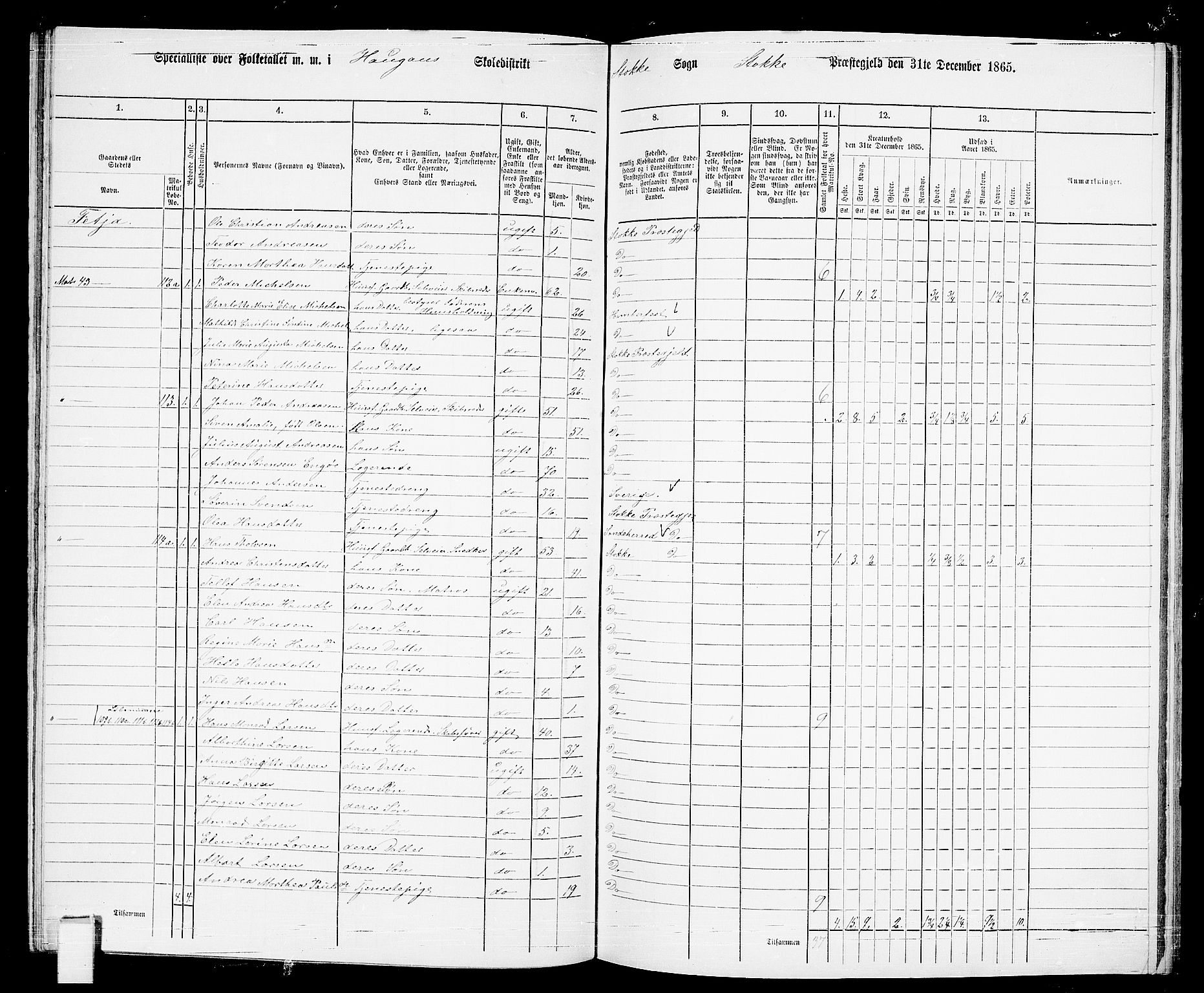 RA, 1865 census for Stokke, 1865, p. 88