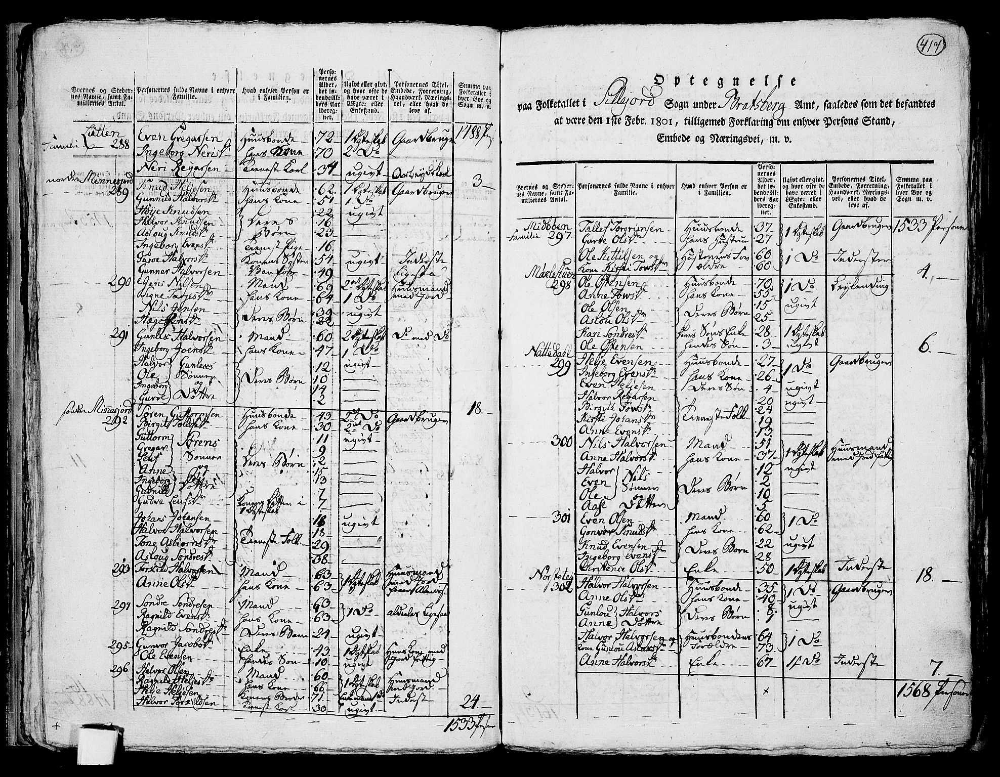 RA, 1801 census for 0828P Seljord, 1801, p. 416b-417a