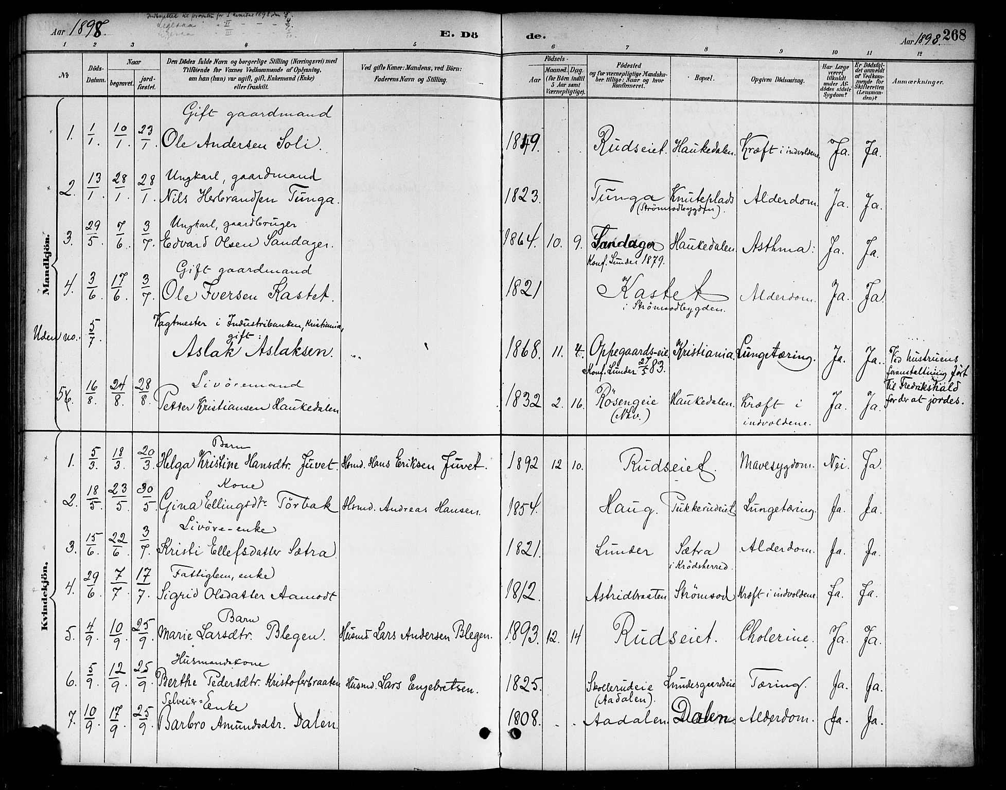 Lunder kirkebøker, SAKO/A-629/G/Ga/L0004: Parish register (copy) no. I 4, 1889-1917, p. 268