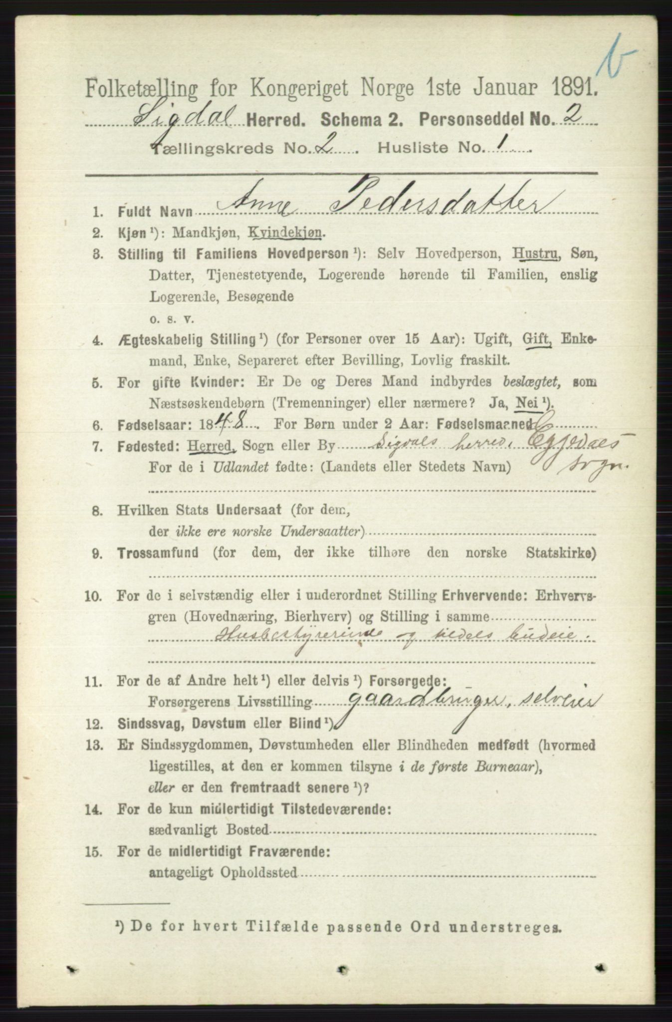RA, 1891 census for 0621 Sigdal, 1891, p. 3919