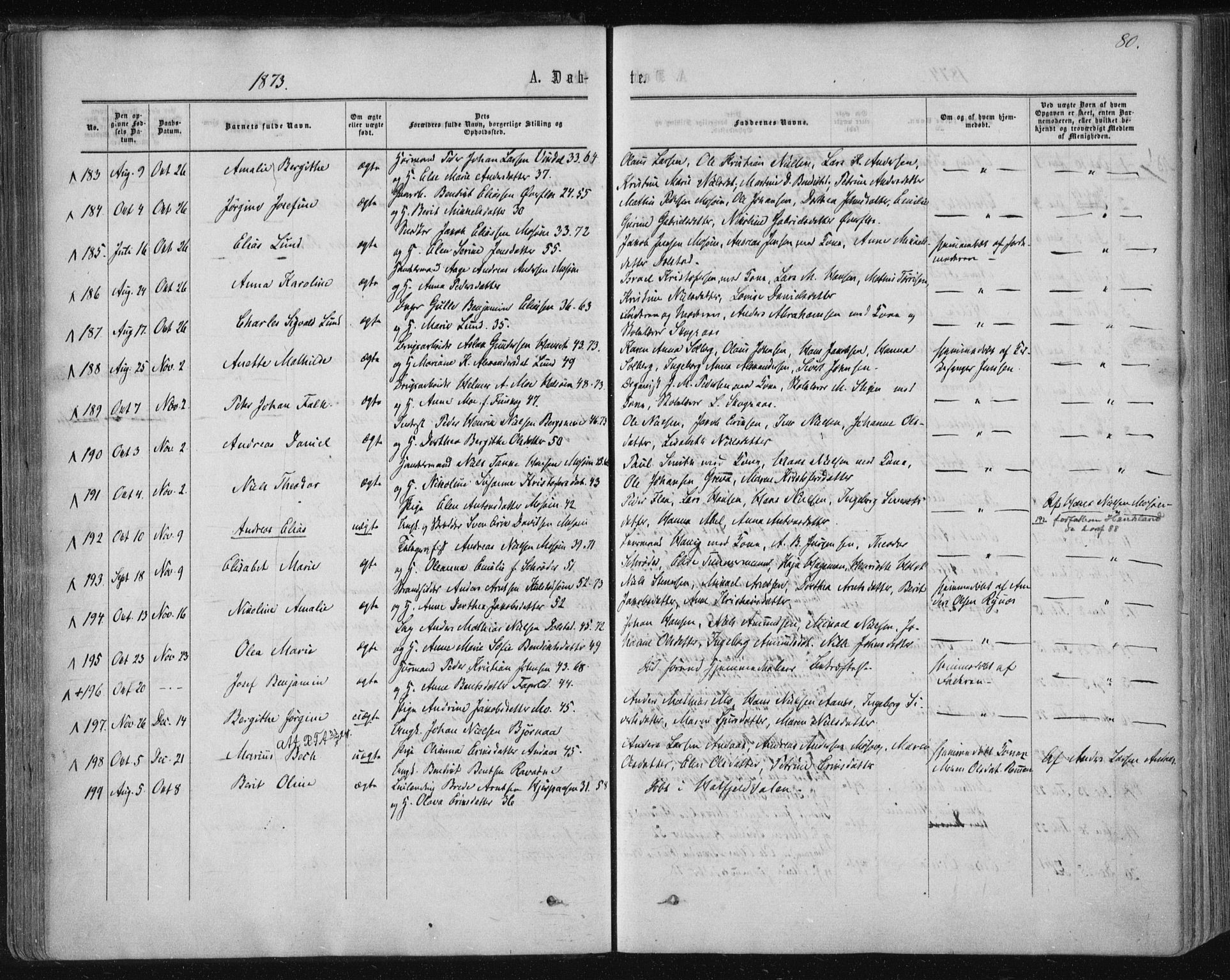 Ministerialprotokoller, klokkerbøker og fødselsregistre - Nordland, SAT/A-1459/820/L0294: Parish register (official) no. 820A15, 1866-1879, p. 80