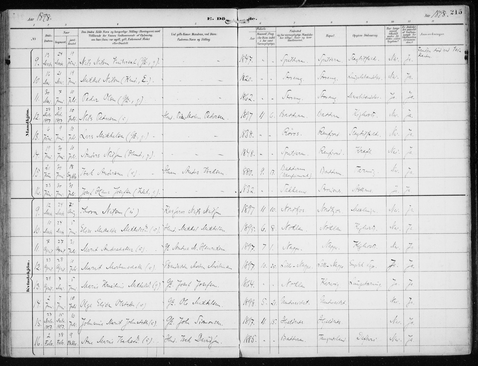 Skjervøy sokneprestkontor, AV/SATØ-S-1300/H/Ha/Haa/L0016kirke: Parish register (official) no. 16, 1892-1908, p. 215