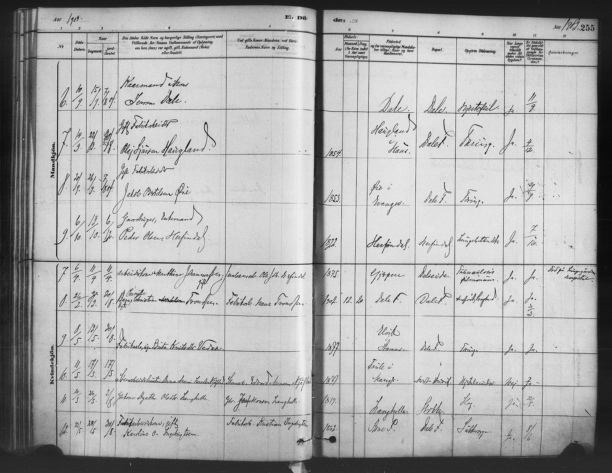 Bruvik Sokneprestembete, AV/SAB-A-74701/H/Haa: Parish register (official) no. B 1, 1878-1904, p. 255