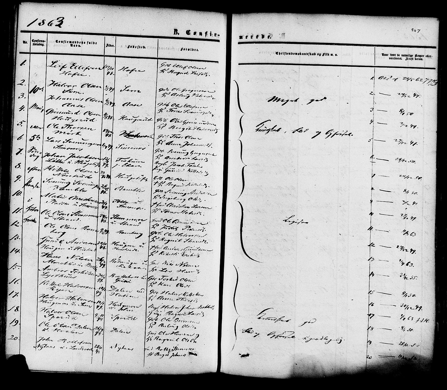 Heddal kirkebøker, SAKO/A-268/F/Fa/L0007: Parish register (official) no. I 7, 1855-1877, p. 247