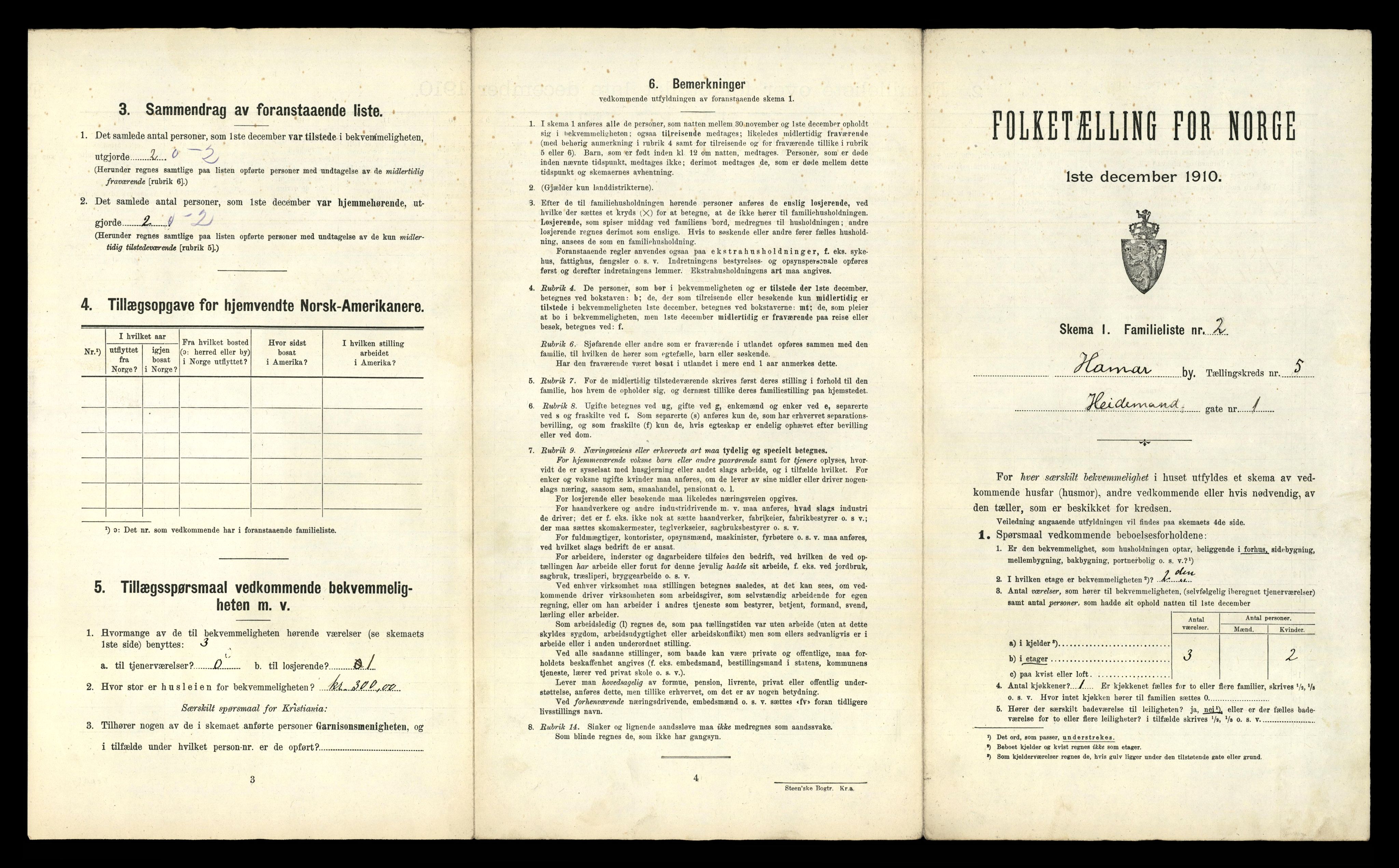 RA, 1910 census for Hamar, 1910, p. 2393