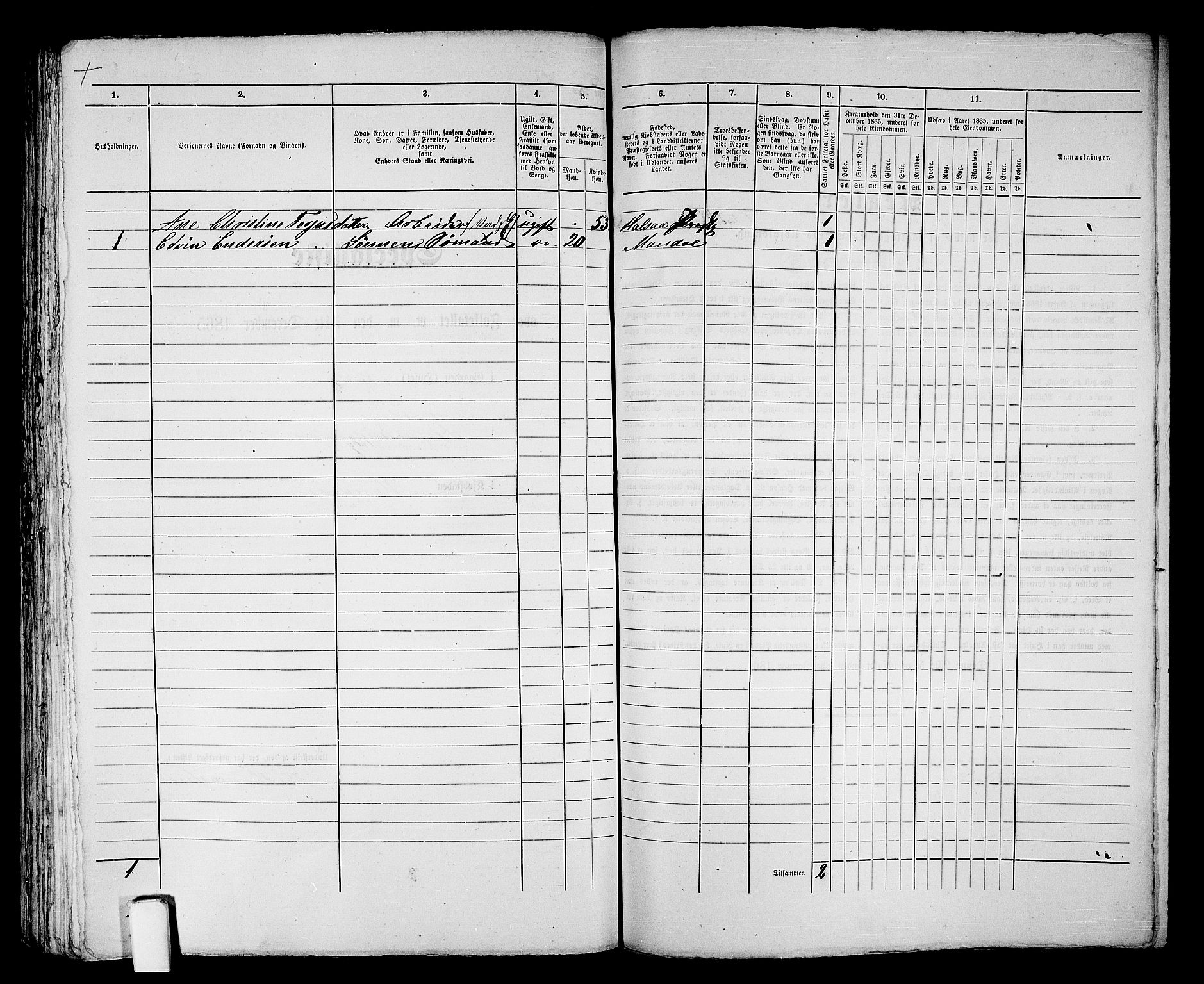 RA, 1865 census for Mandal/Mandal, 1865, p. 405