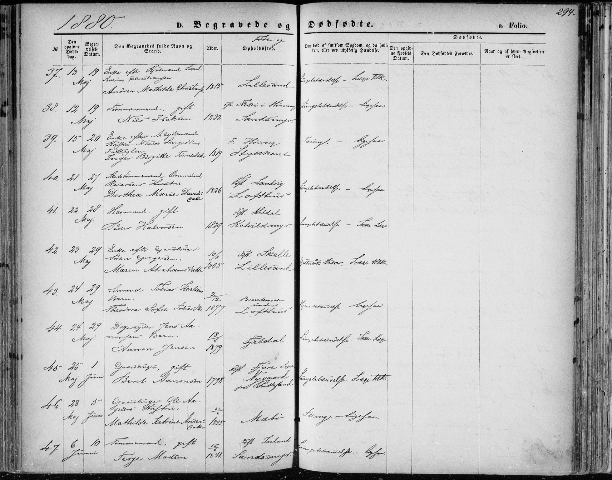 Vestre Moland sokneprestkontor, AV/SAK-1111-0046/F/Fa/Fab/L0008: Parish register (official) no. A 8, 1873-1883, p. 294