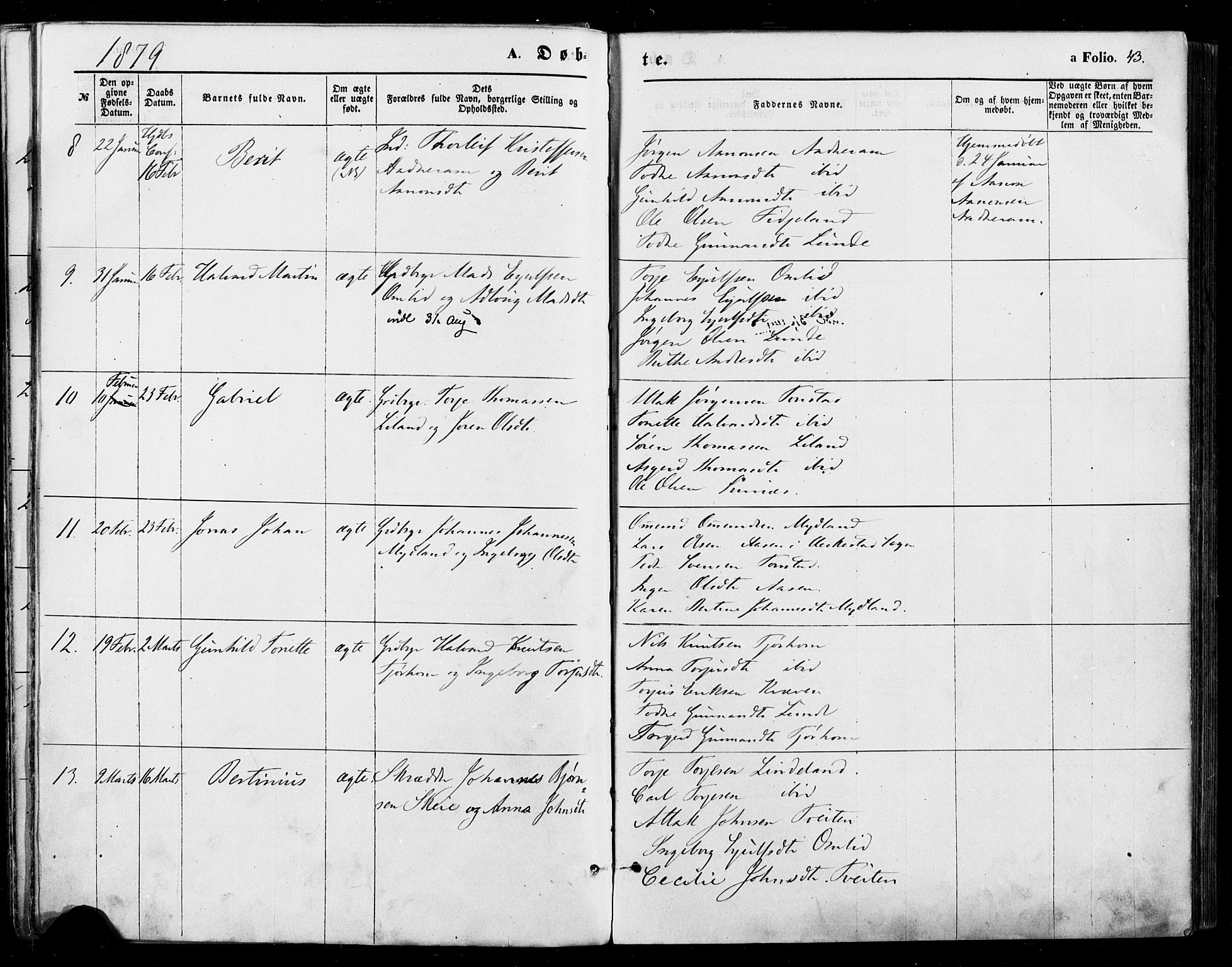 Sirdal sokneprestkontor, AV/SAK-1111-0036/F/Fa/Fab/L0003: Parish register (official) no. A 3, 1874-1886, p. 43