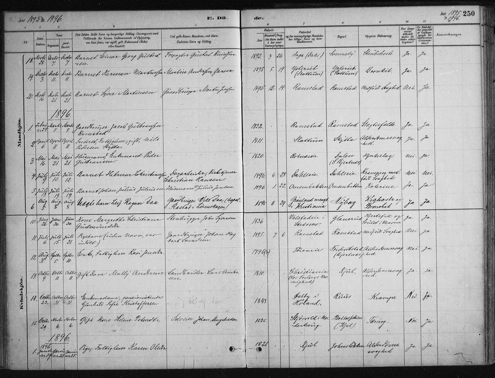 Nittedal prestekontor Kirkebøker, SAO/A-10365a/F/Fa/L0007: Parish register (official) no. I 7, 1879-1901, p. 250