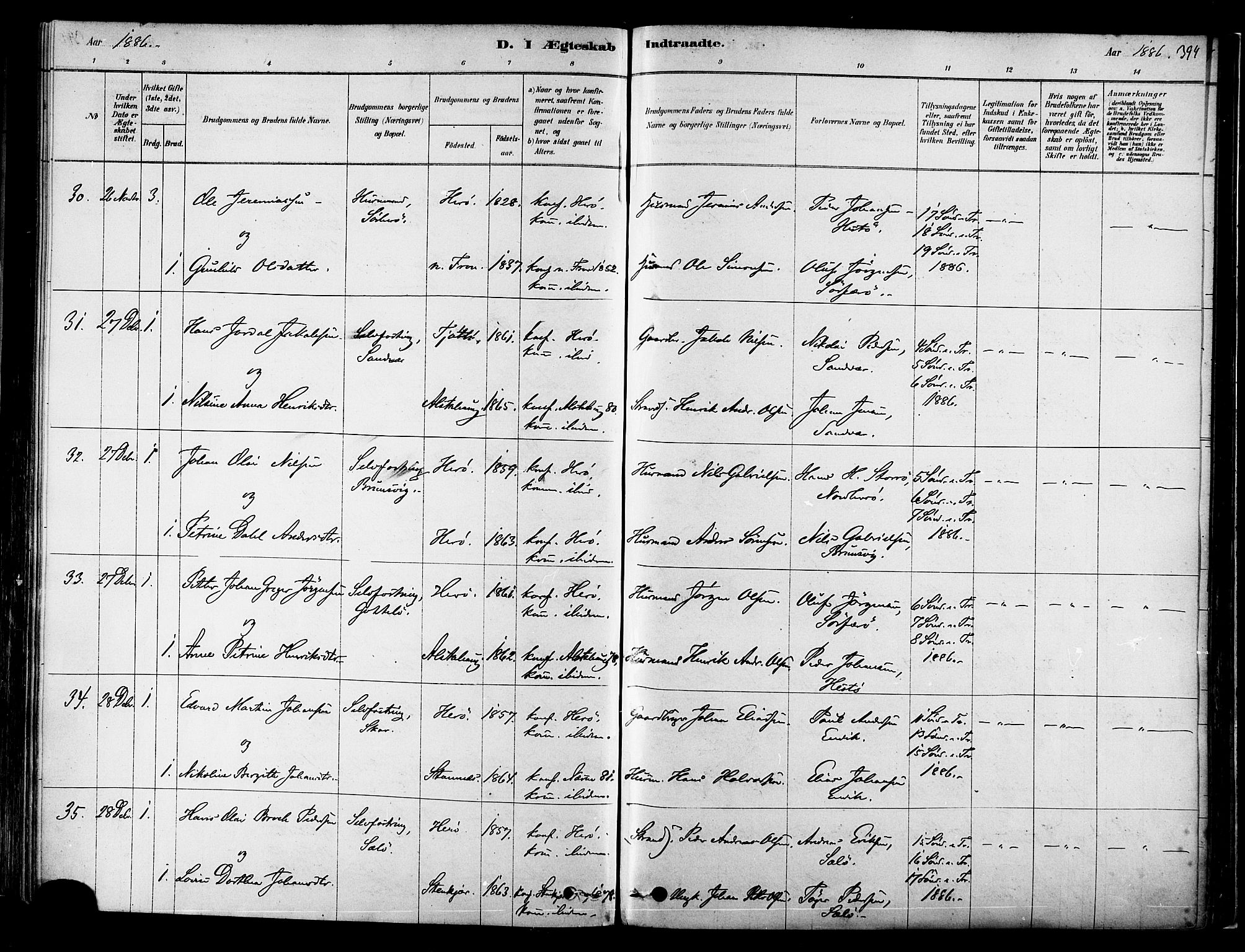 Ministerialprotokoller, klokkerbøker og fødselsregistre - Nordland, AV/SAT-A-1459/834/L0507: Parish register (official) no. 834A05, 1878-1892, p. 394