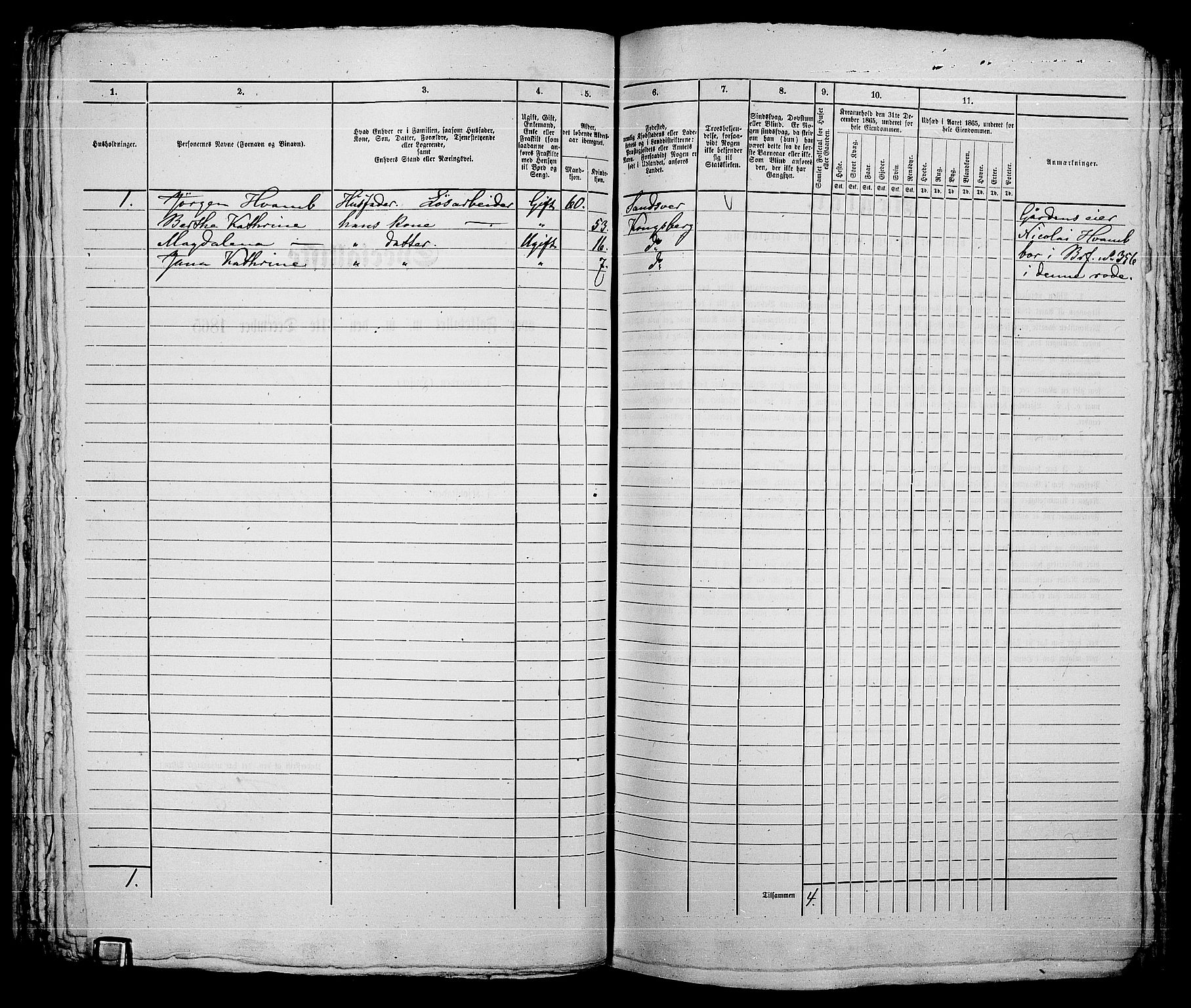 RA, 1865 census for Kongsberg/Kongsberg, 1865, p. 723