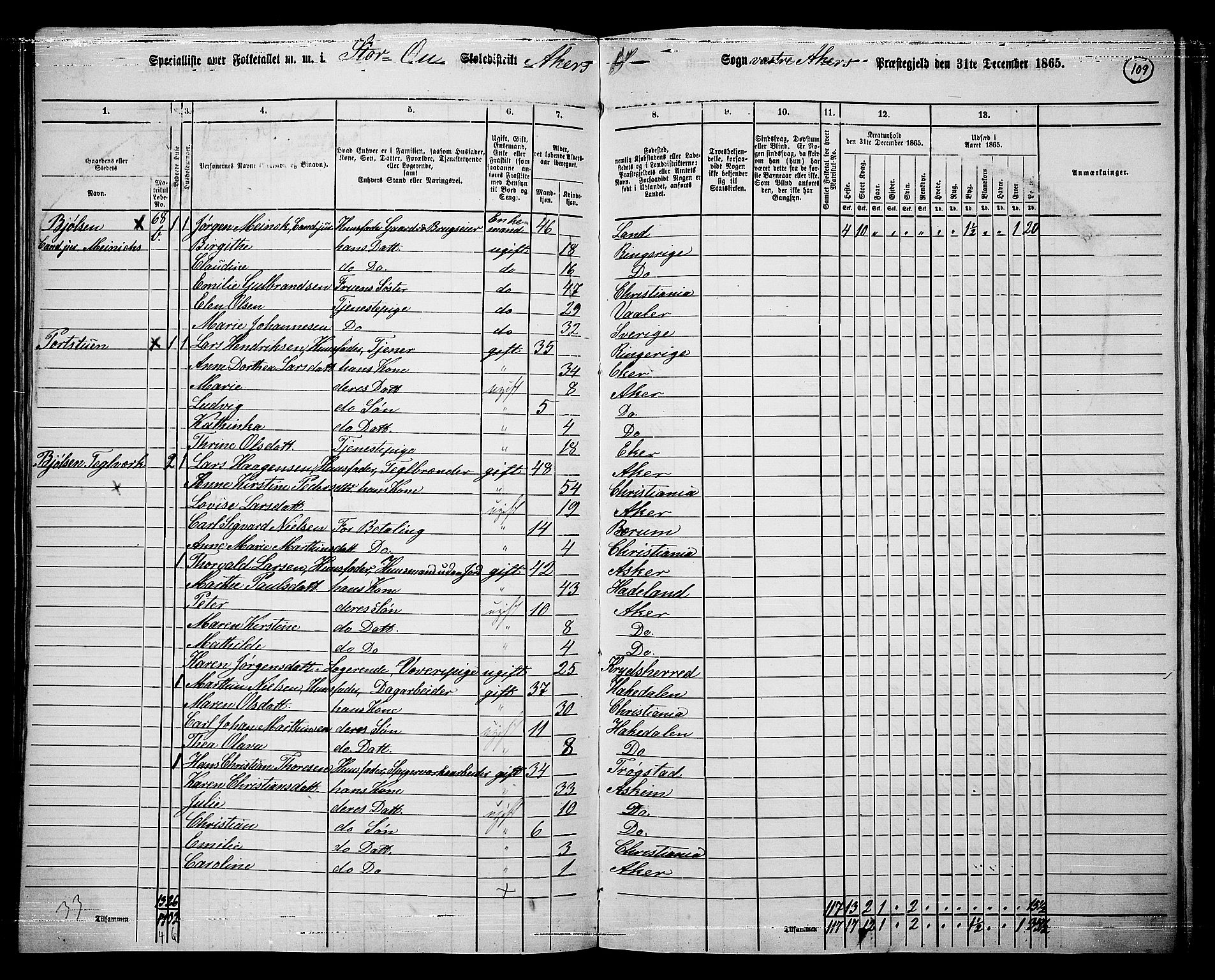 RA, 1865 census for Vestre Aker, 1865, p. 277