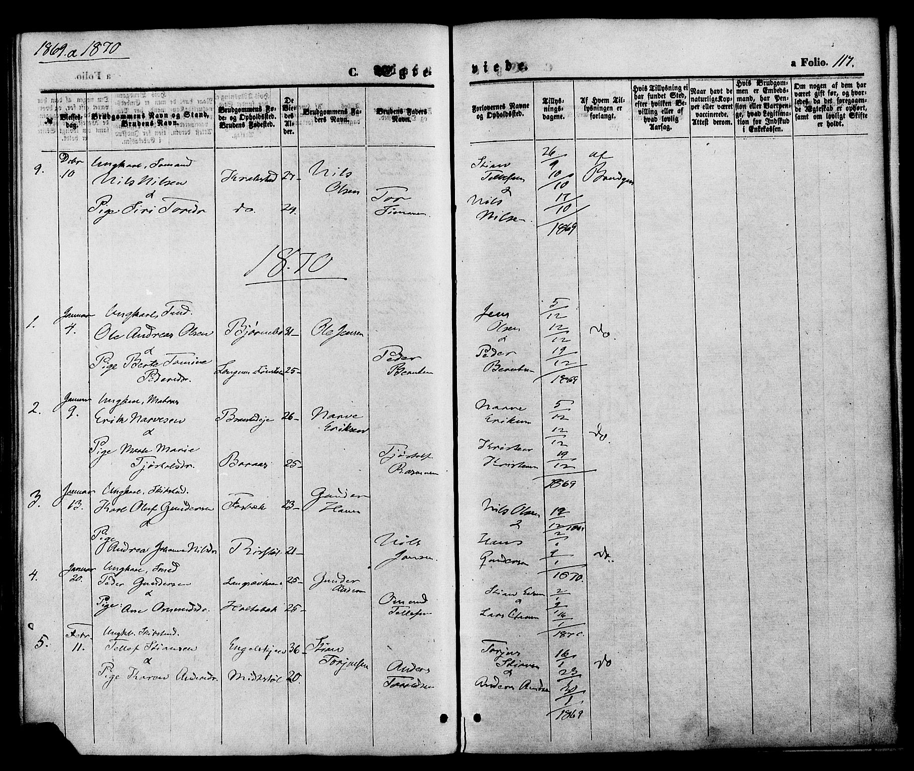 Austre Moland sokneprestkontor, SAK/1111-0001/F/Fa/Faa/L0009: Parish register (official) no. A 9, 1869-1879, p. 117