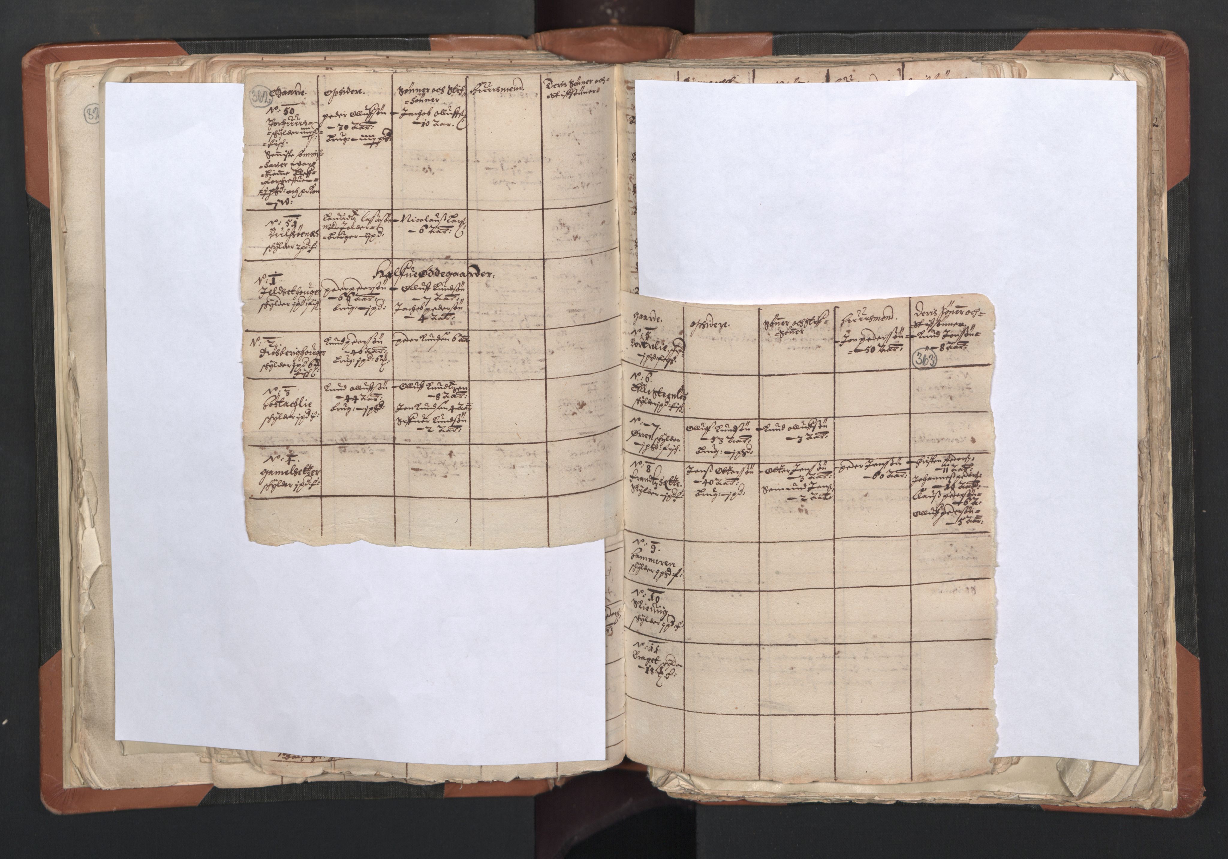 RA, Vicar's Census 1664-1666, no. 27: Romsdal deanery, 1664-1666, p. 362-363