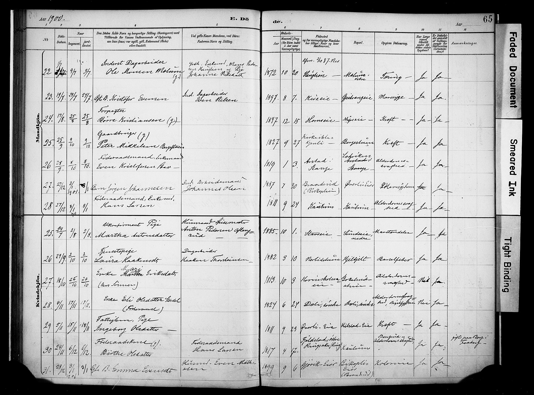 Nes prestekontor, Hedmark, AV/SAH-PREST-020/K/Ka/L0011: Parish register (official) no. 11, 1887-1905, p. 65