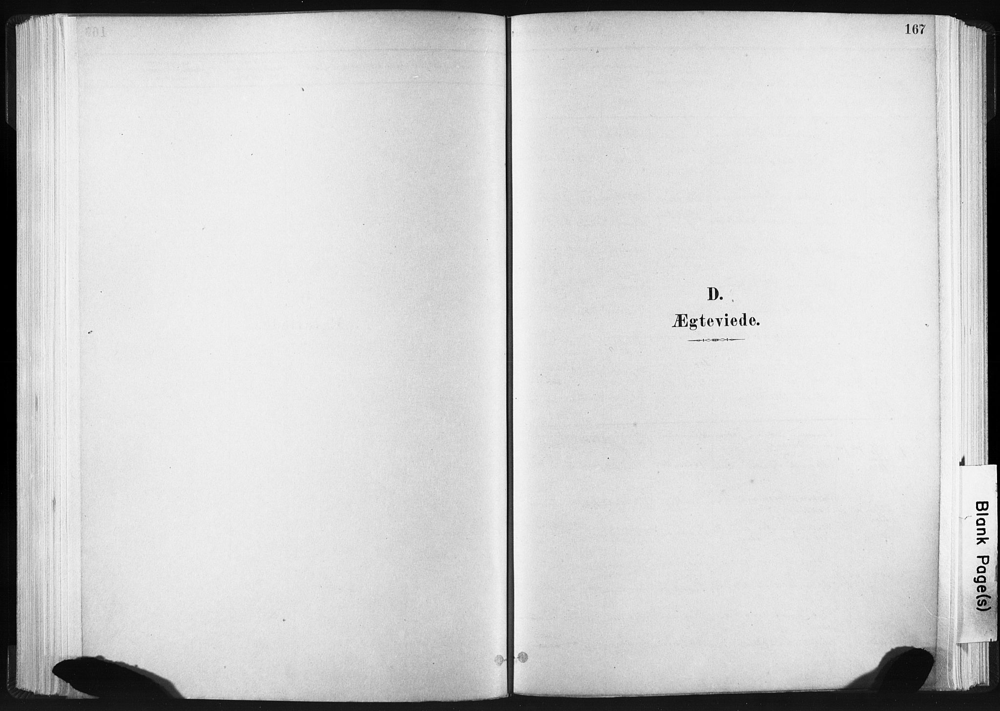 Ministerialprotokoller, klokkerbøker og fødselsregistre - Sør-Trøndelag, SAT/A-1456/665/L0773: Parish register (official) no. 665A08, 1879-1905, p. 167