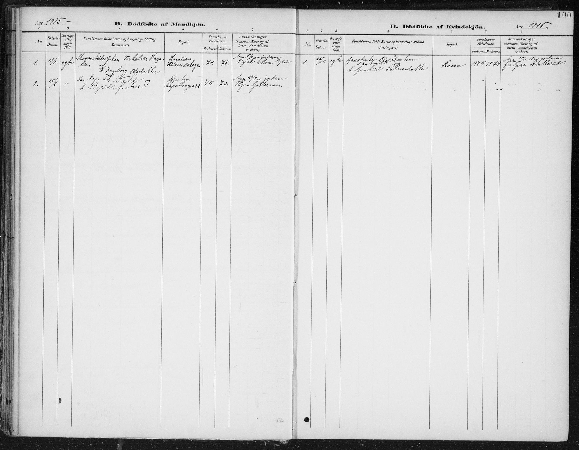 Krødsherad kirkebøker, AV/SAKO-A-19/F/Fa/L0007: Parish register (official) no. 7, 1900-1915, p. 100