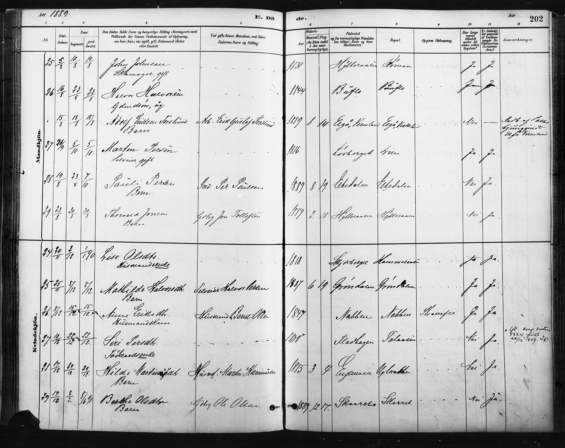 Trysil prestekontor, SAH/PREST-046/H/Ha/Haa/L0009: Parish register (official) no. 9, 1881-1897, p. 202