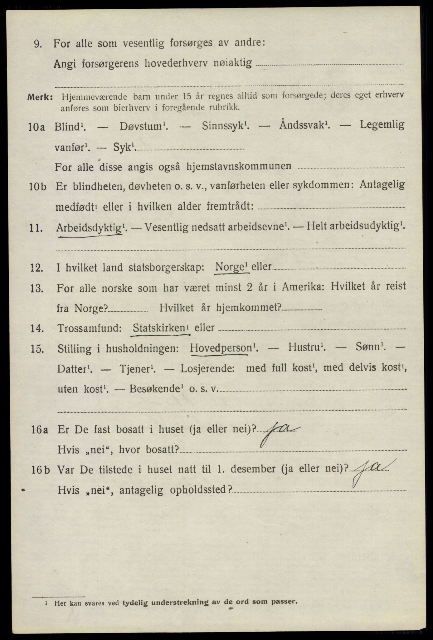 SAO, 1920 census for Nes, 1920, p. 18893