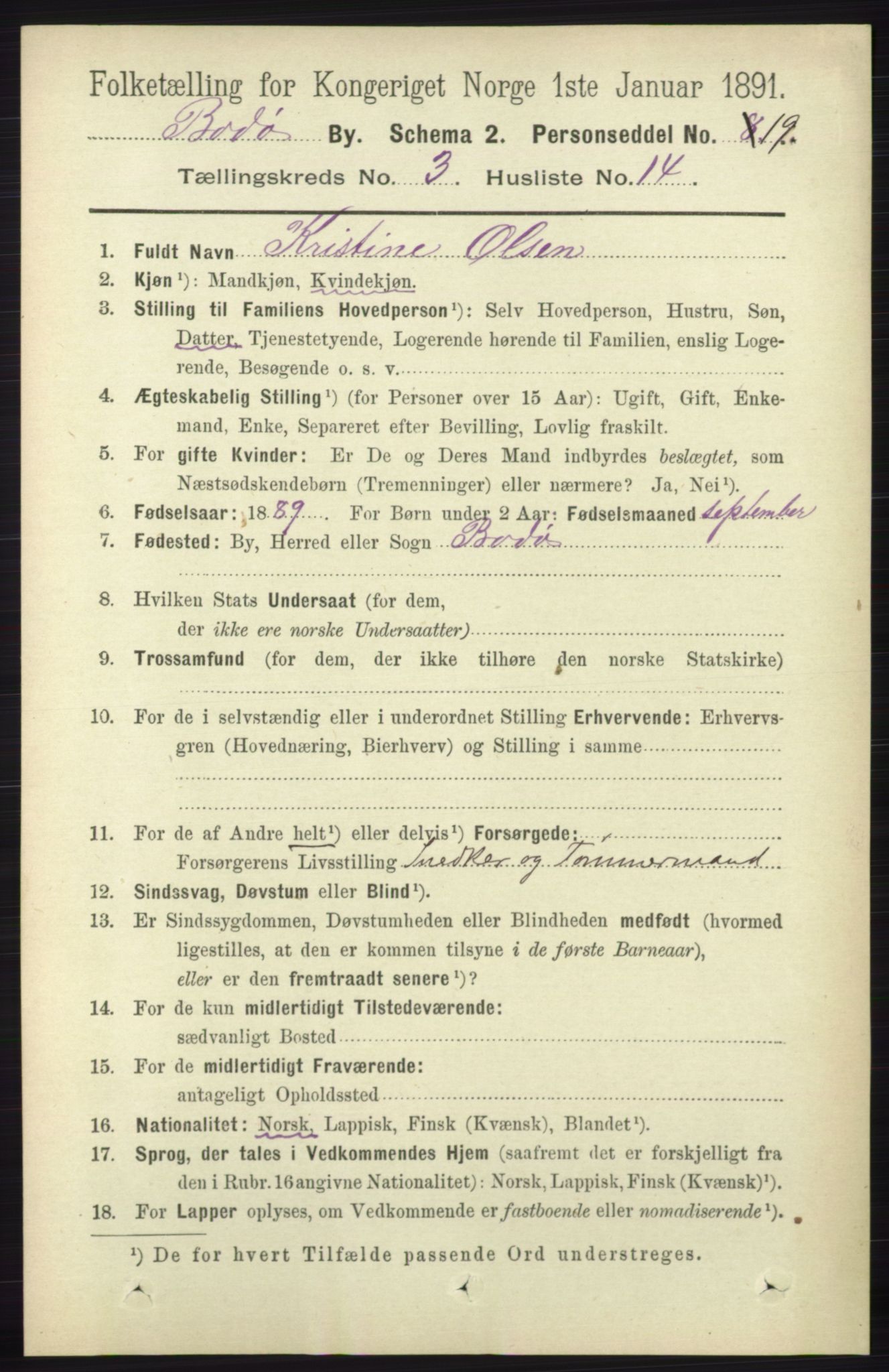 RA, 1891 census for 1804 Bodø, 1891, p. 2198