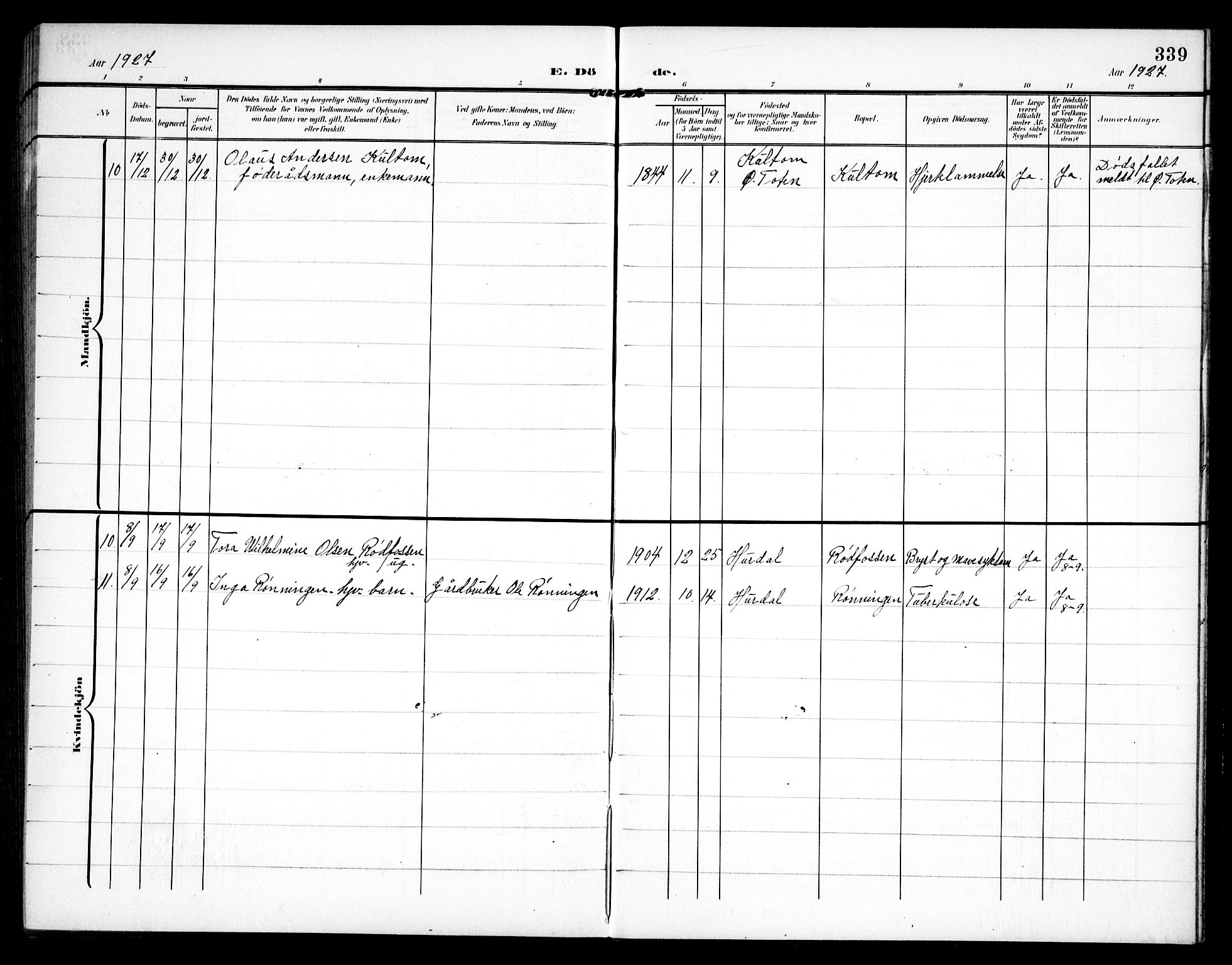 Hurdal prestekontor Kirkebøker, SAO/A-10889/G/Ga/L0001: Parish register (copy) no. I 1, 1902-1934, p. 339