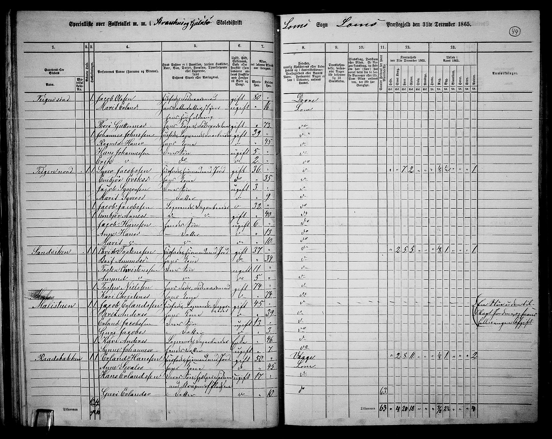 RA, 1865 census for Lom, 1865, p. 45