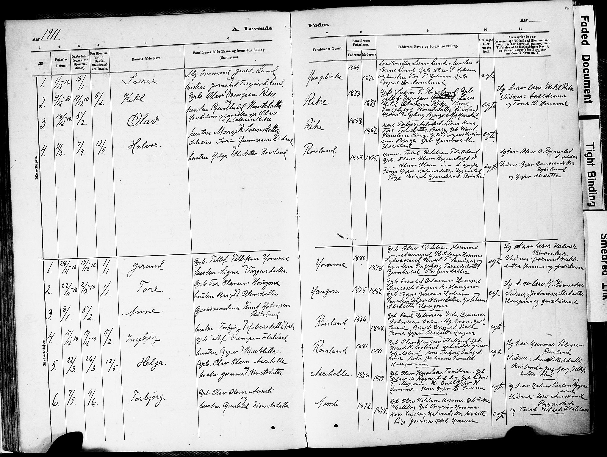 Valle sokneprestkontor, AV/SAK-1111-0044/F/Fa/Fac/L0009: Parish register (official) no. A 9, 1882-1913, p. 86