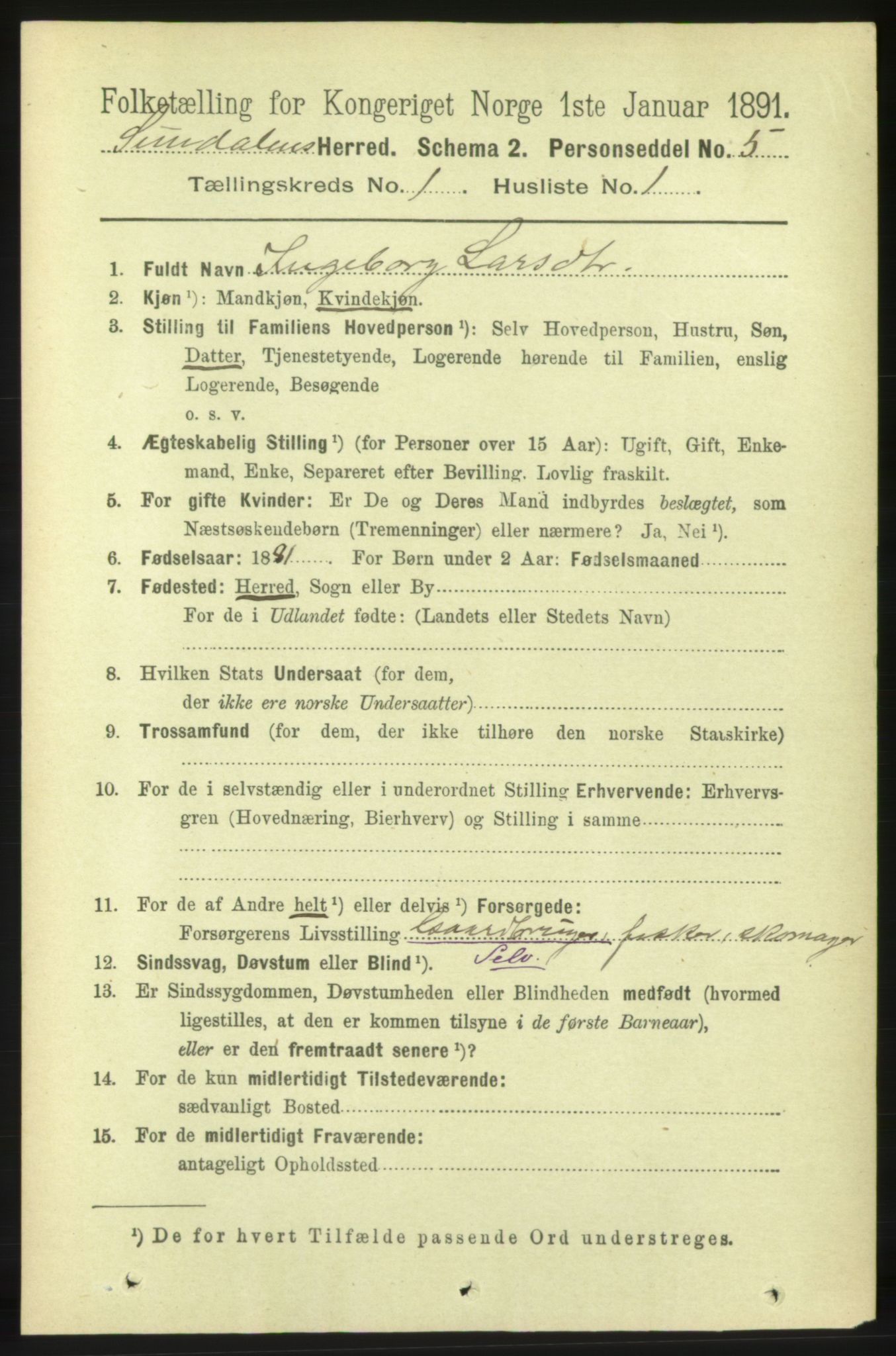 RA, 1891 census for 1563 Sunndal, 1891, p. 54