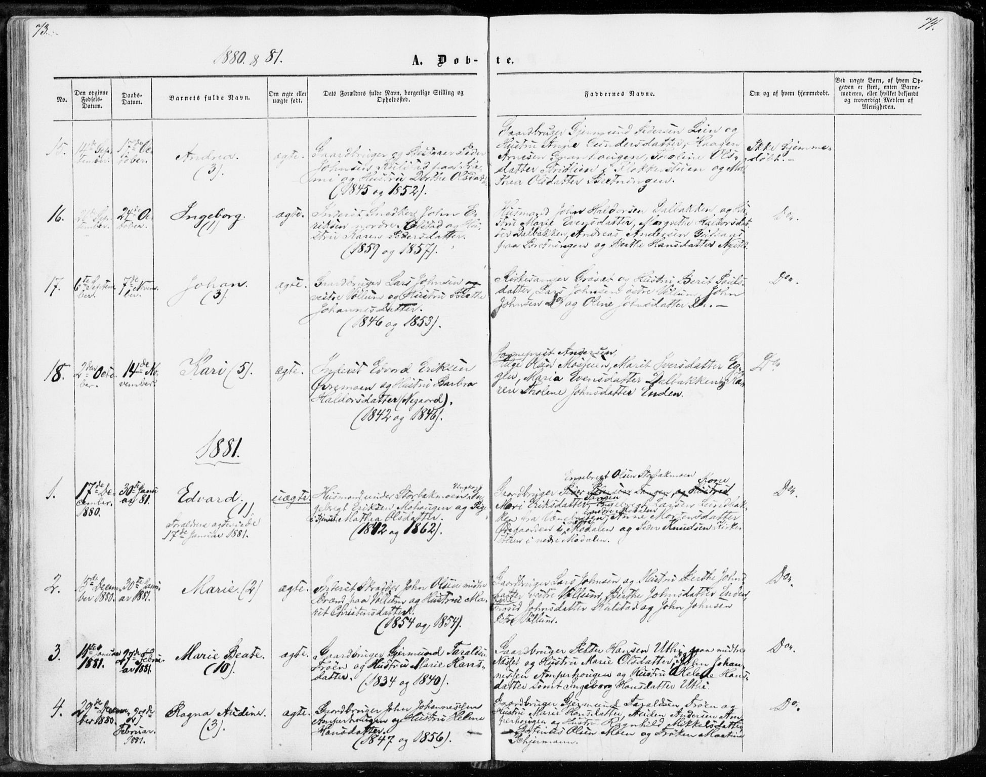 Sollia prestekontor, SAH/PREST-050/H/Ha/Haa/L0001: Parish register (official) no. 1, 1856-1885, p. 73-74