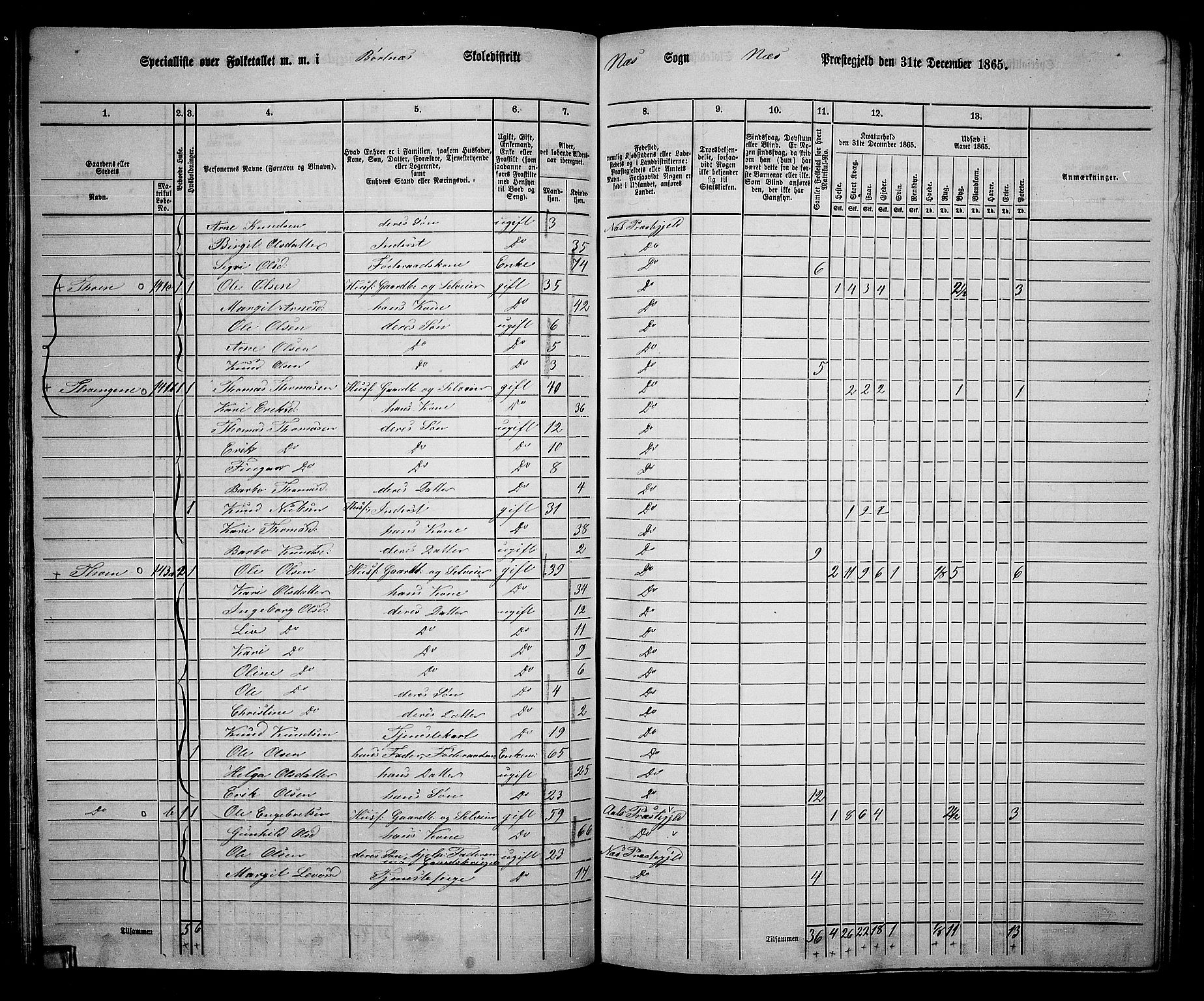 RA, 1865 census for Nes, 1865, p. 114