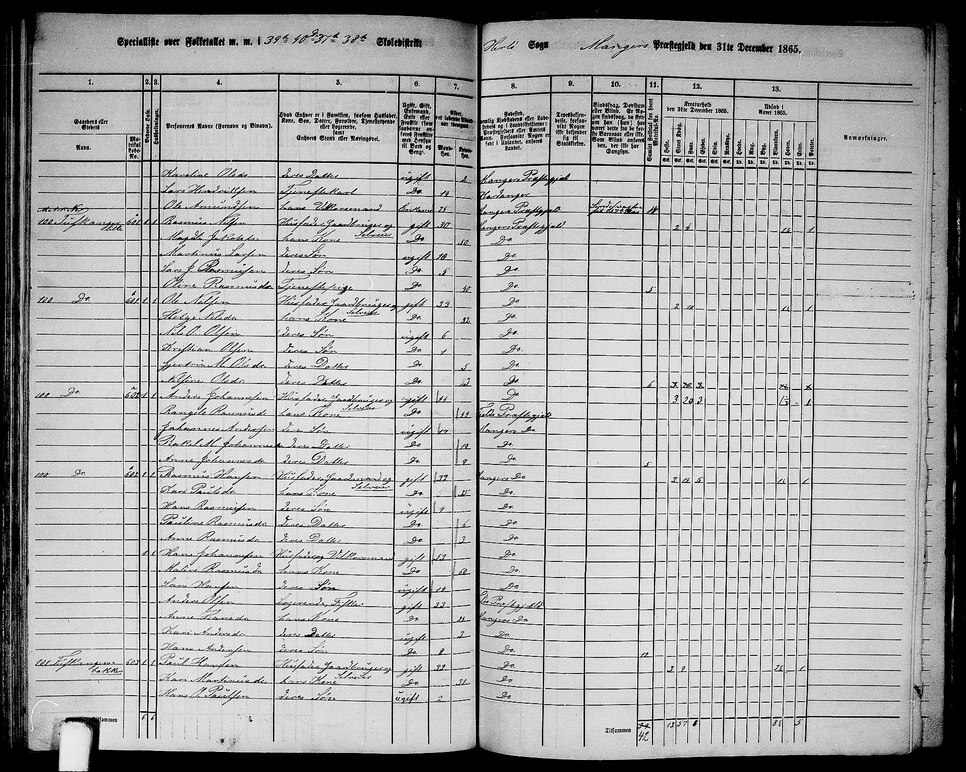 RA, 1865 census for Manger, 1865, p. 156