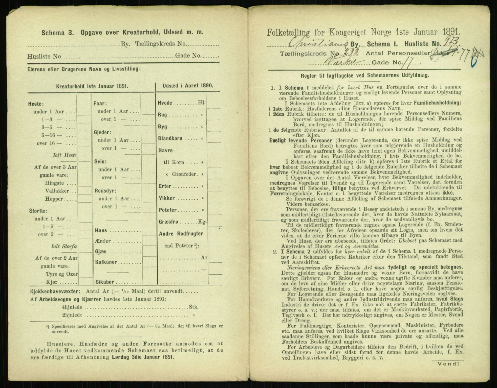 RA, 1891 census for 0301 Kristiania, 1891, p. 143052