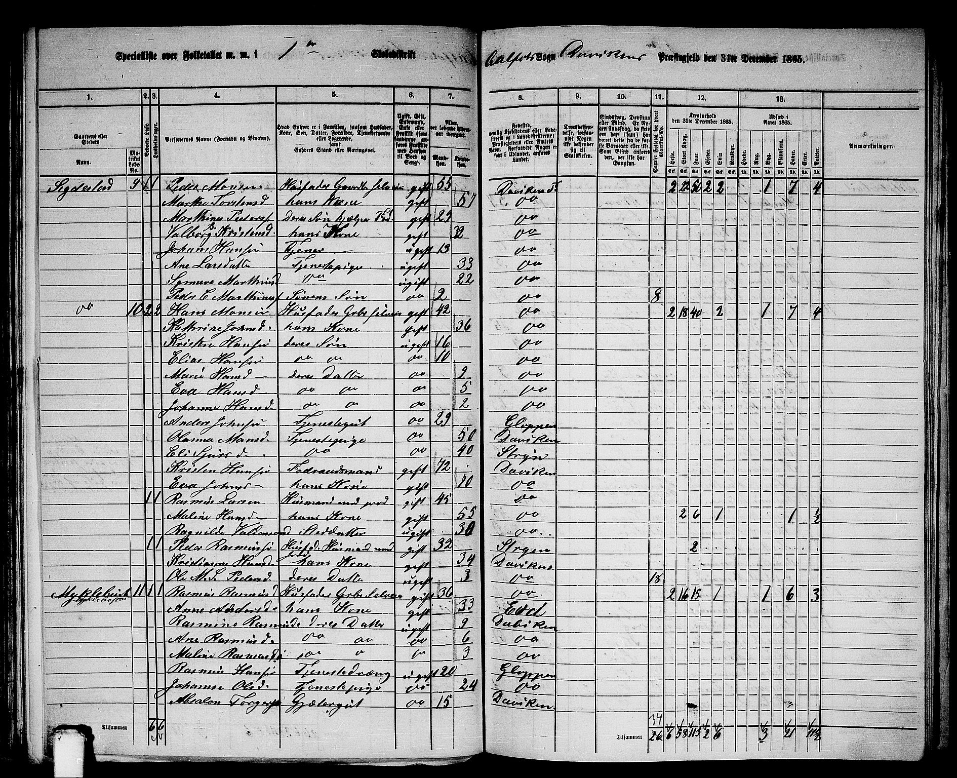 RA, 1865 census for Davik, 1865, p. 12