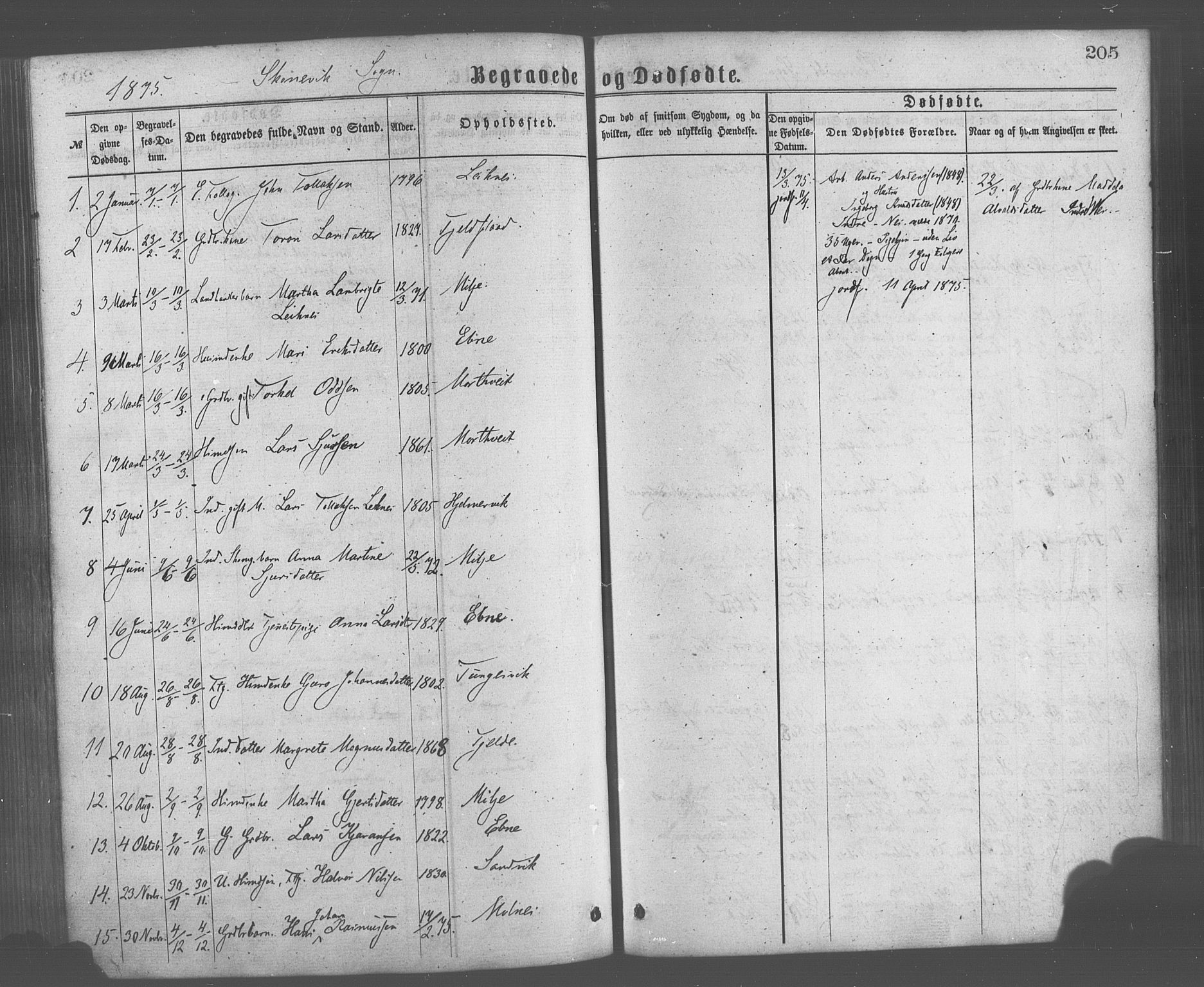 Skånevik sokneprestembete, AV/SAB-A-77801/H/Haa: Parish register (official) no. A 6, 1869-1878, p. 205