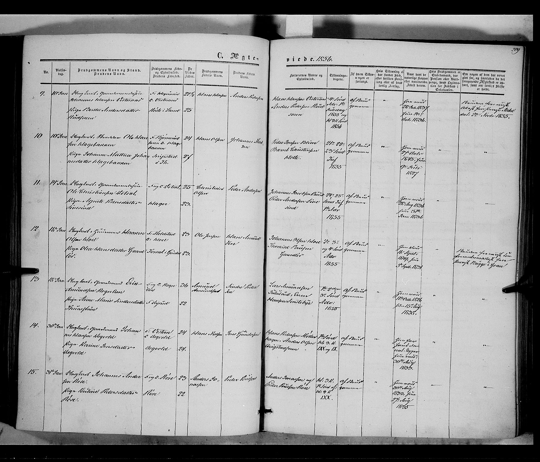 Vestre Toten prestekontor, SAH/PREST-108/H/Ha/Haa/L0006: Parish register (official) no. 6, 1856-1861, p. 209
