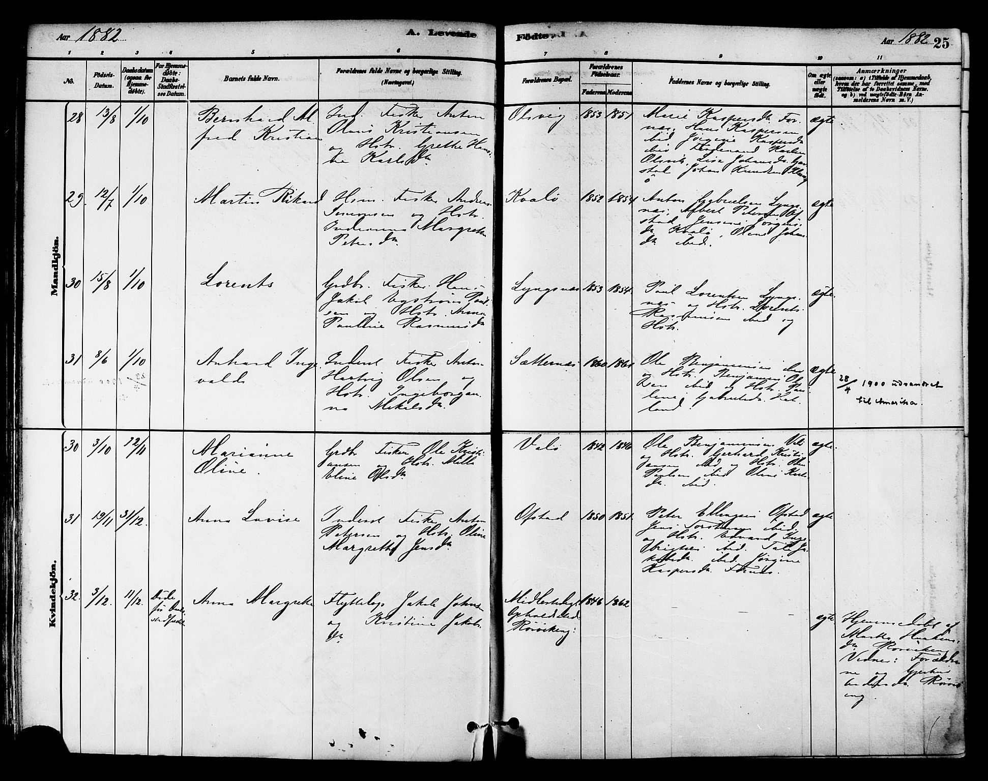 Ministerialprotokoller, klokkerbøker og fødselsregistre - Nord-Trøndelag, AV/SAT-A-1458/786/L0686: Parish register (official) no. 786A02, 1880-1887, p. 25