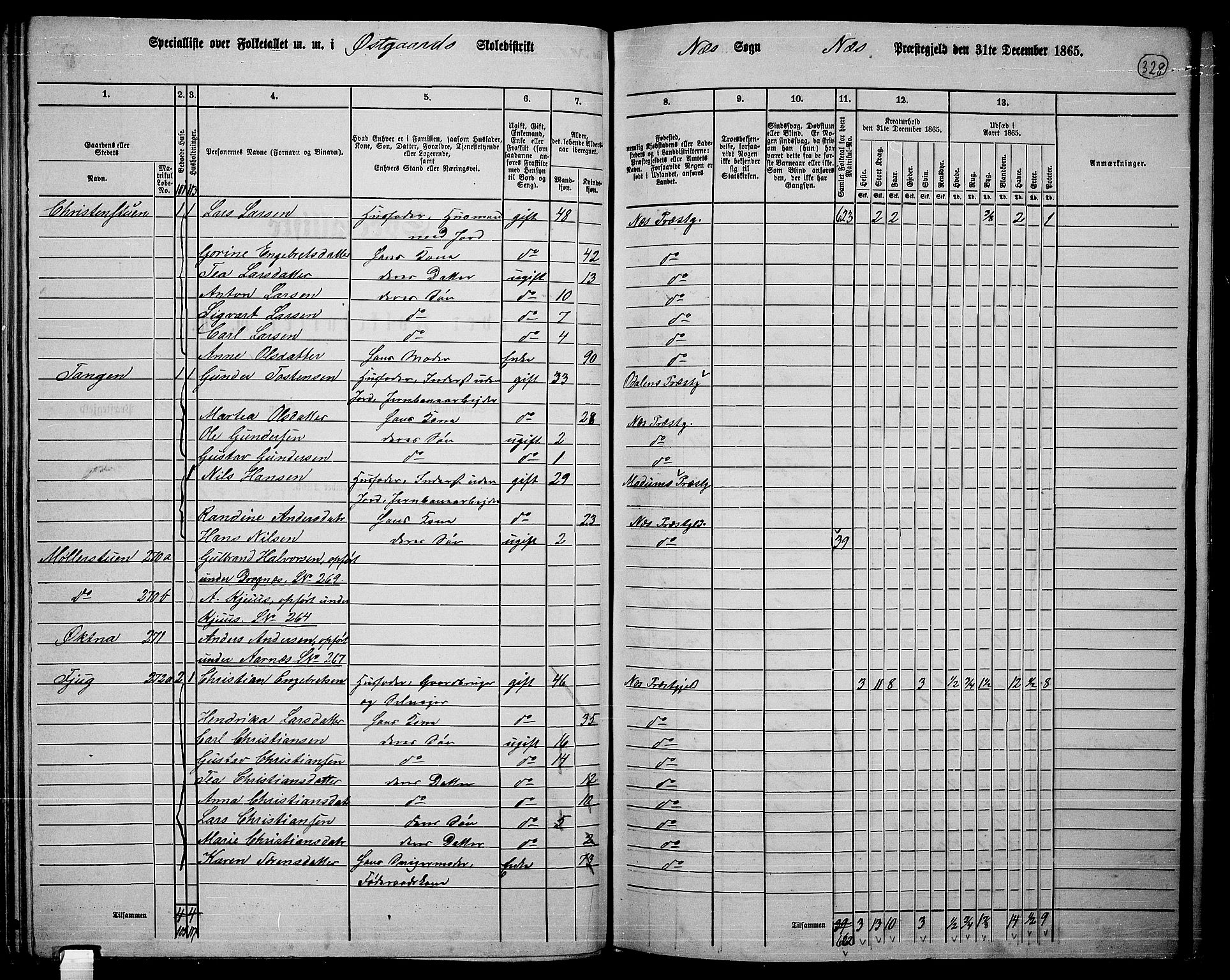 RA, 1865 census for Nes, 1865, p. 303