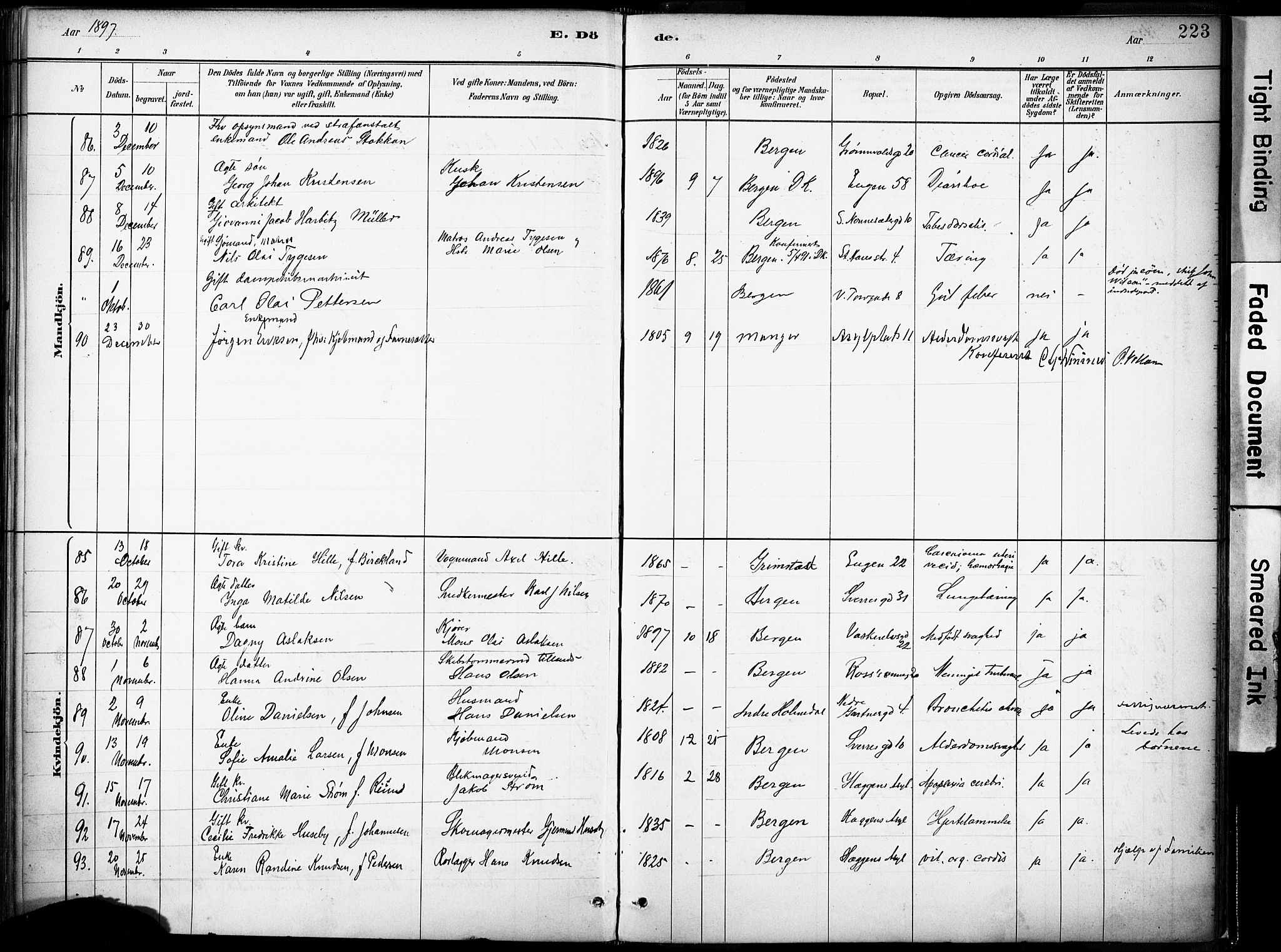 Domkirken sokneprestembete, AV/SAB-A-74801/H/Haa/L0043: Parish register (official) no. E 5, 1882-1904, p. 223