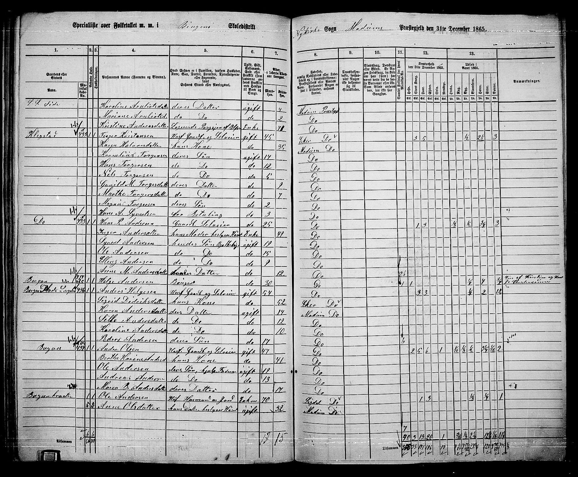 RA, 1865 census for Modum, 1865, p. 290