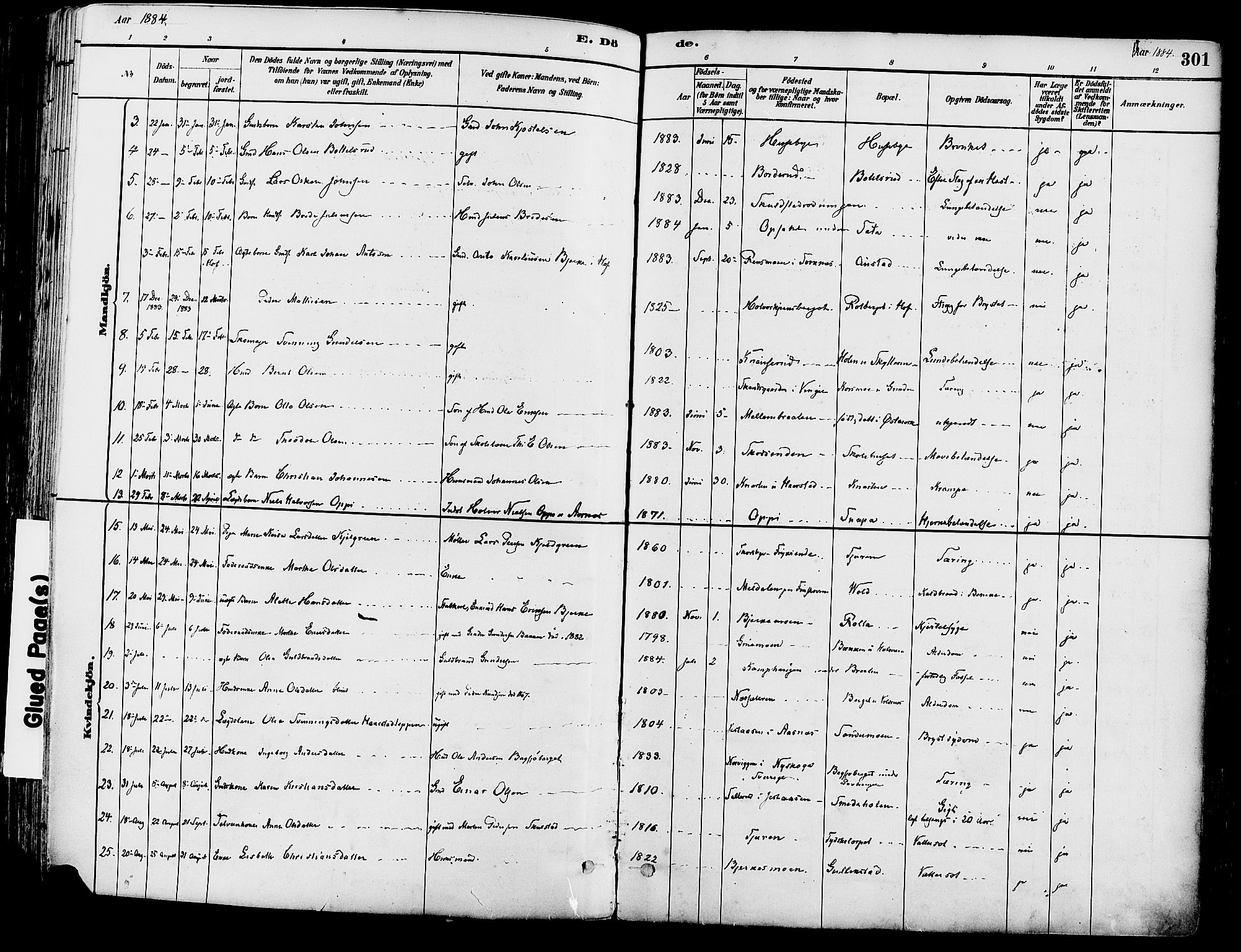 Grue prestekontor, AV/SAH-PREST-036/H/Ha/Haa/L0012: Parish register (official) no. 12, 1881-1897, p. 301