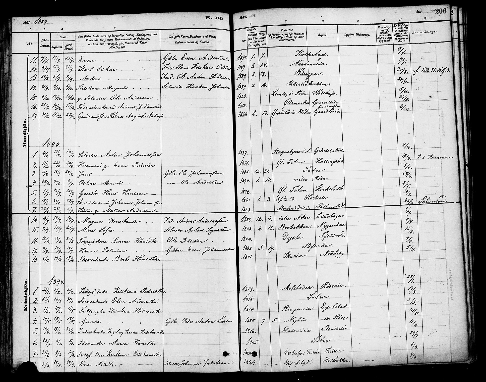 Vestre Toten prestekontor, SAH/PREST-108/H/Ha/Haa/L0010: Parish register (official) no. 10, 1878-1894, p. 206