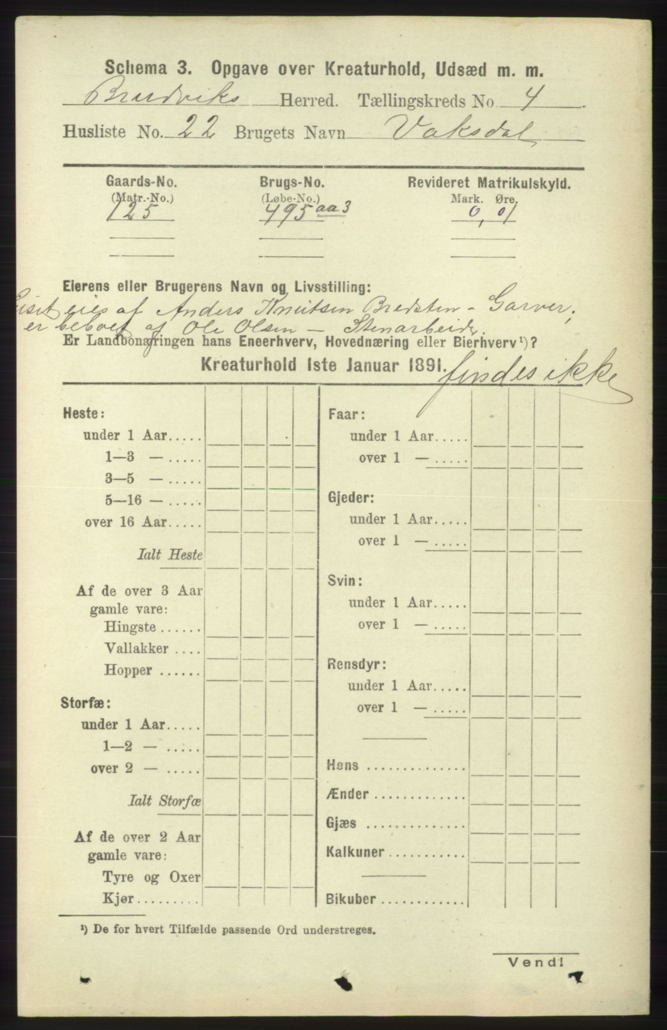 RA, 1891 census for 1251 Bruvik, 1891, p. 4438