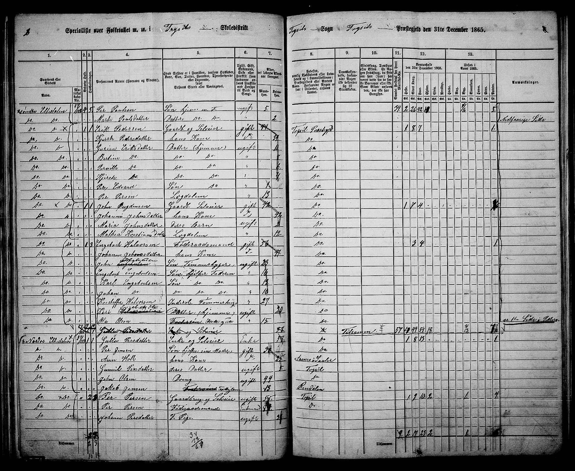 RA, 1865 census for Trysil, 1865, p. 59