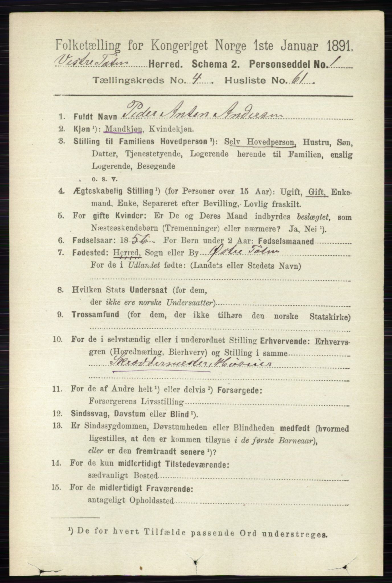 RA, 1891 census for 0529 Vestre Toten, 1891, p. 3082