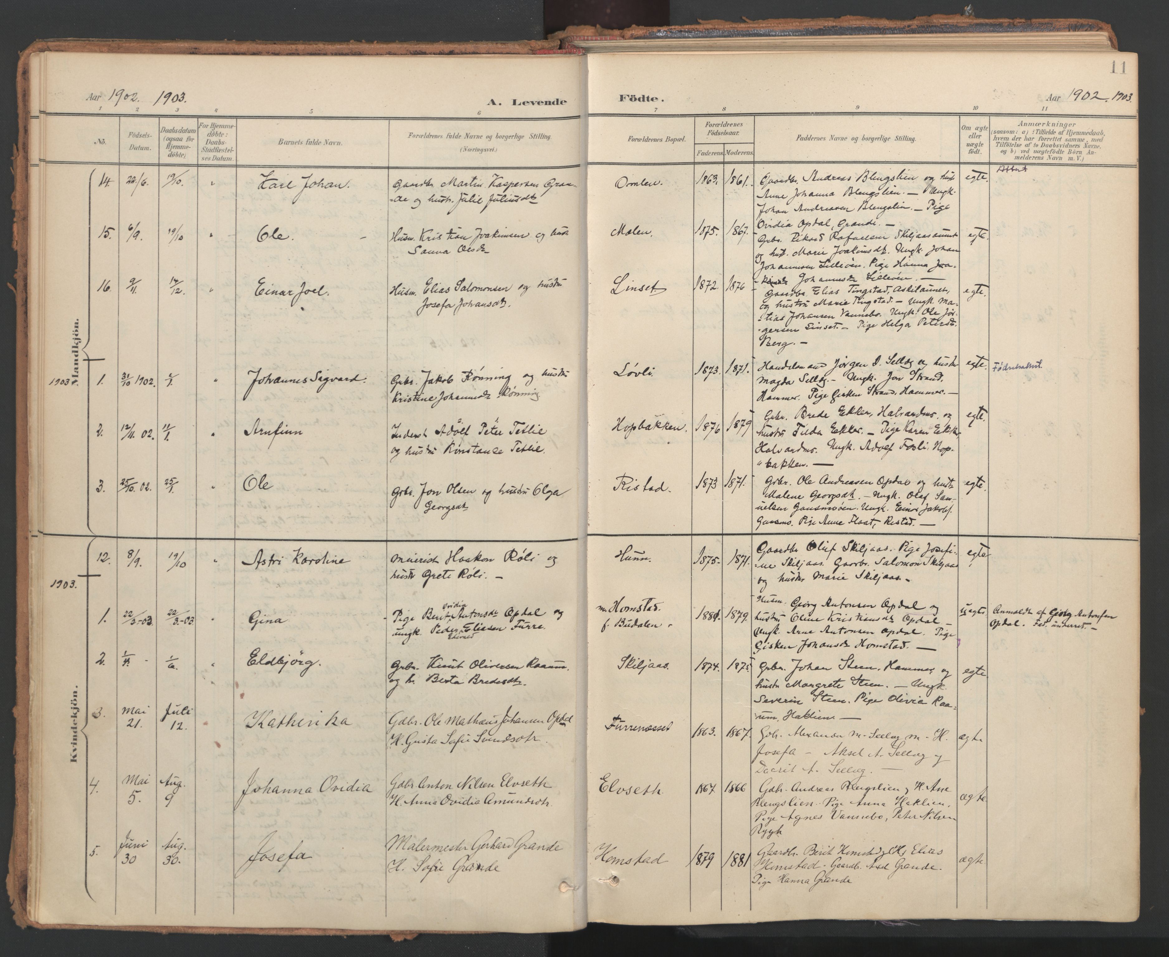 Ministerialprotokoller, klokkerbøker og fødselsregistre - Nord-Trøndelag, SAT/A-1458/766/L0564: Parish register (official) no. 767A02, 1900-1932, p. 11