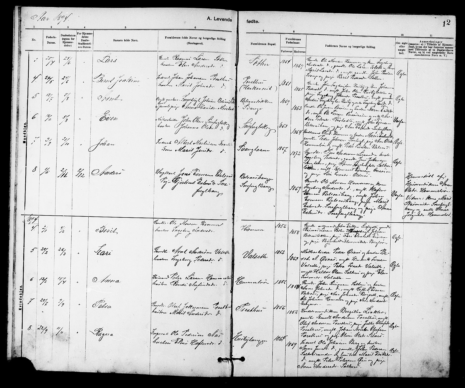 Ministerialprotokoller, klokkerbøker og fødselsregistre - Sør-Trøndelag, AV/SAT-A-1456/666/L0790: Parish register (copy) no. 666C03, 1885-1908, p. 12