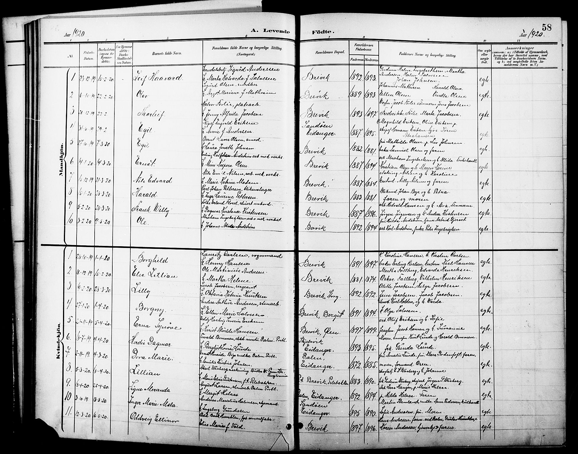 Brevik kirkebøker, SAKO/A-255/G/Ga/L0005: Parish register (copy) no. 5, 1901-1924, p. 58