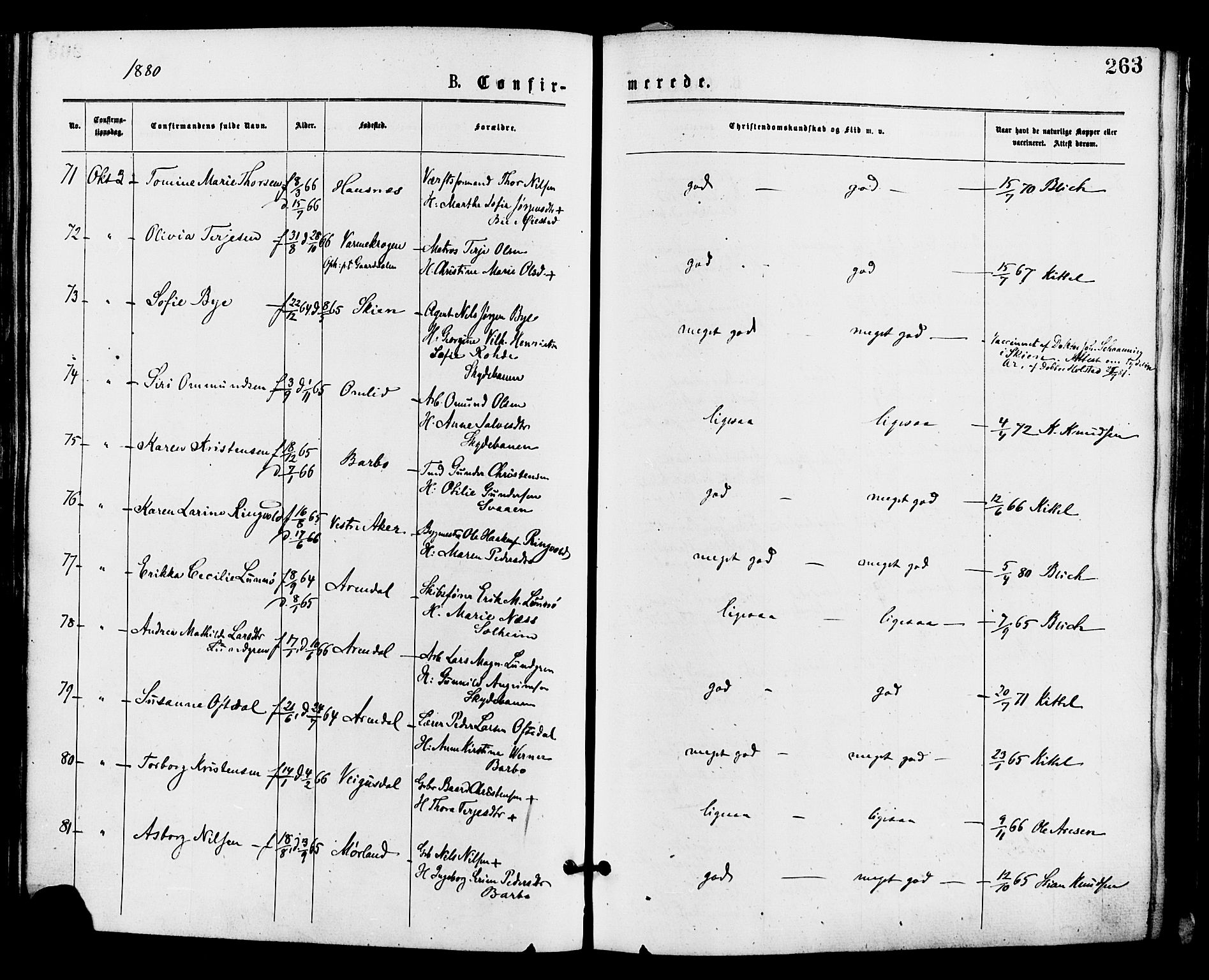 Barbu sokneprestkontor, AV/SAK-1111-0003/F/Fa/L0001: Parish register (official) no. A 1 /1, 1878-1883, p. 263