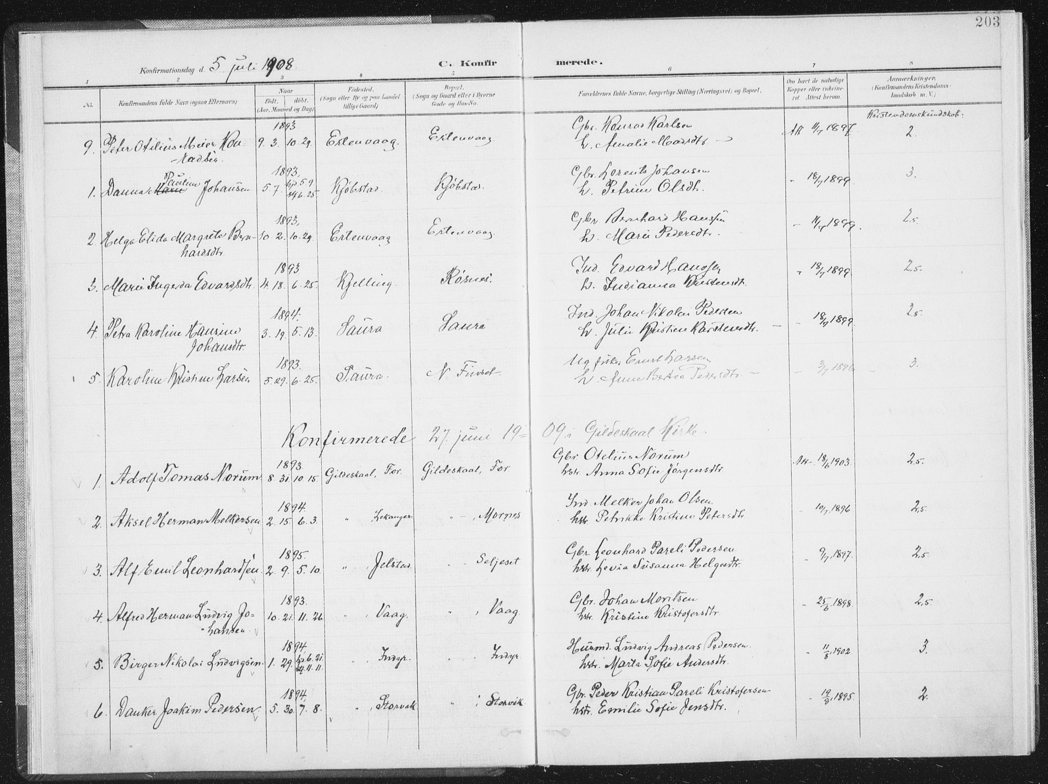 Ministerialprotokoller, klokkerbøker og fødselsregistre - Nordland, AV/SAT-A-1459/805/L0103: Parish register (official) no. 805A08II, 1900-1909, p. 203